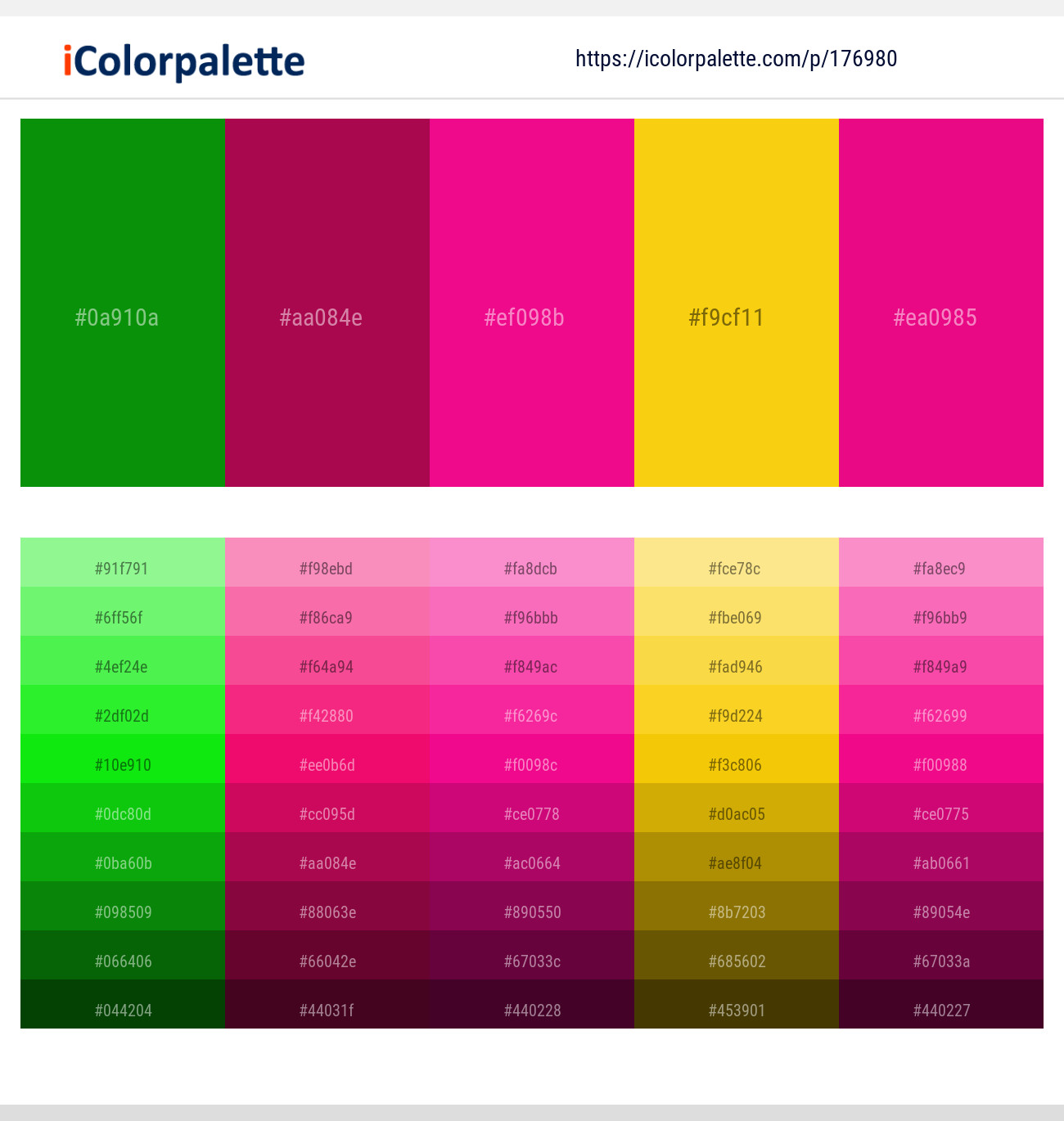 176980366 Bright Color Palettes