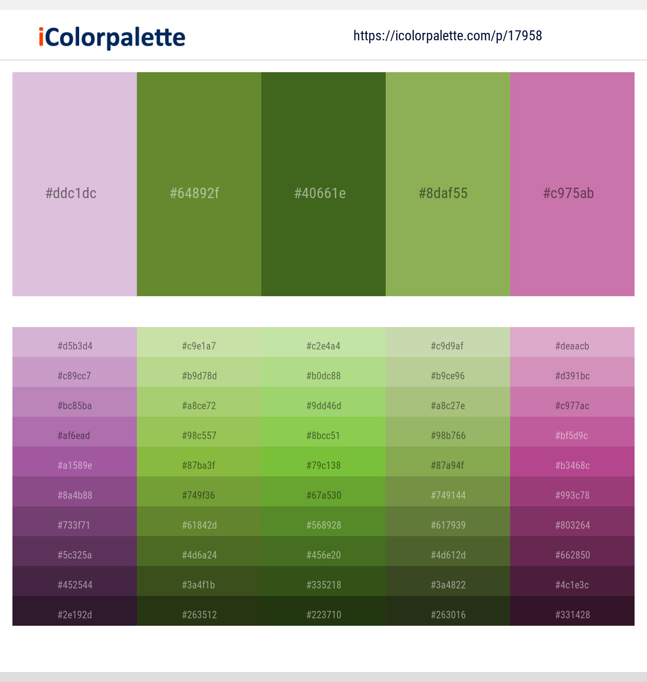 Thistle – Crete – Fern Frond – Chelsea Cucumber – Hopbush Color scheme