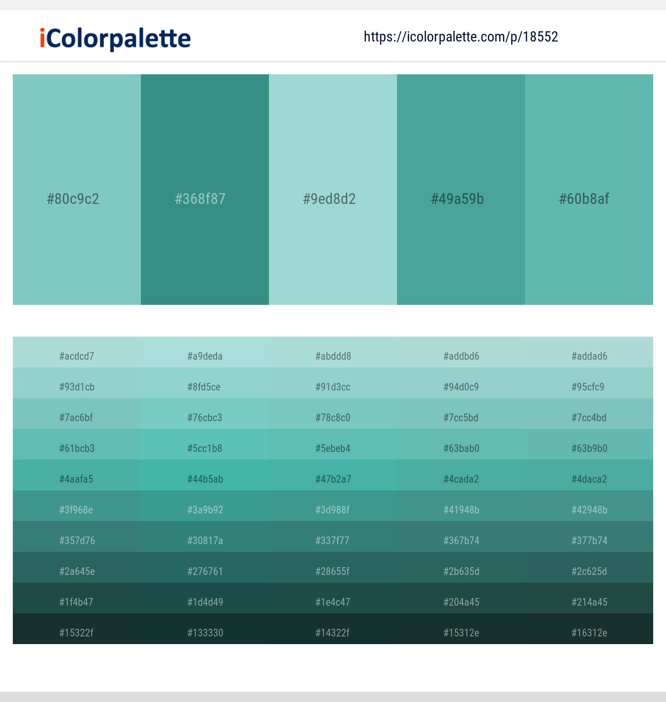 Half Baked – Paradiso – Sinbad – Hippie Blue – Tradewind Color scheme