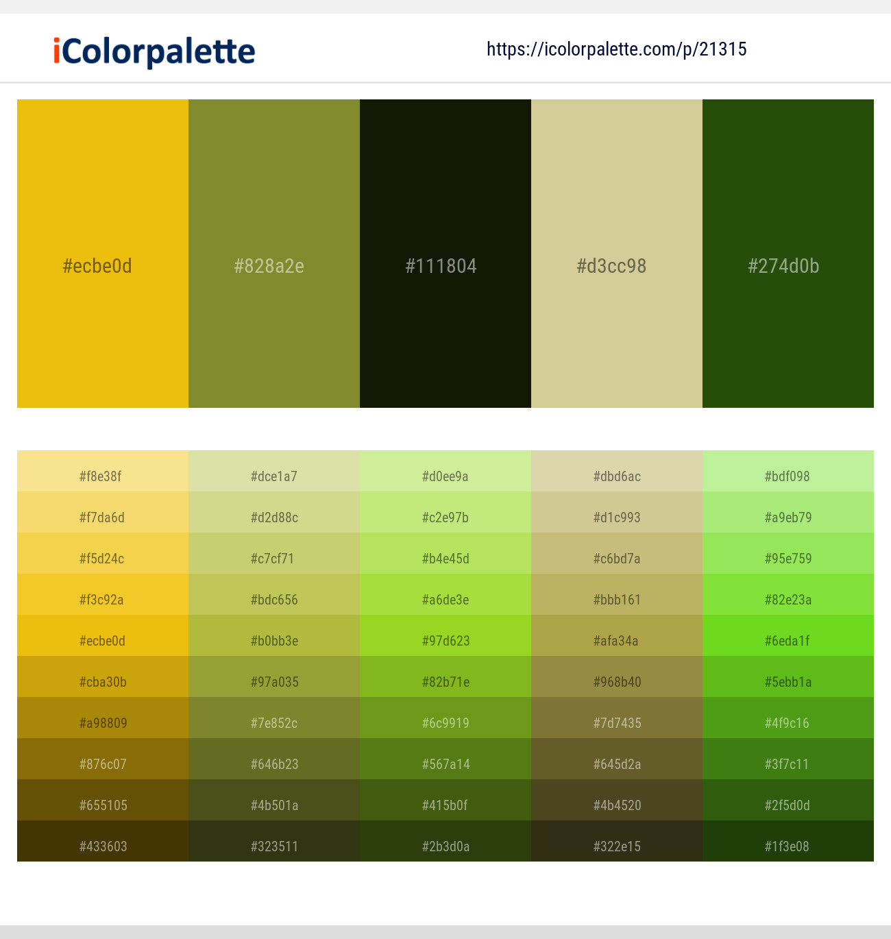 Galliano – Crete – Pine Tree – Winter Hazel – Green House Color scheme