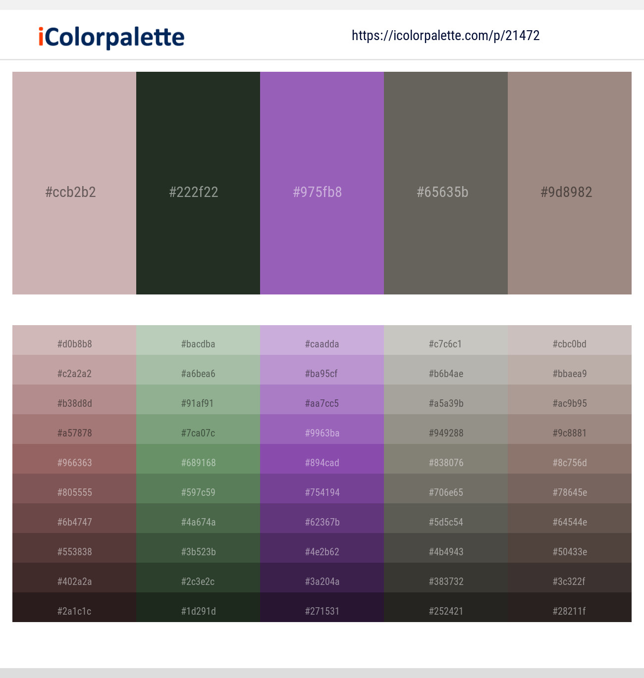 Cold Turkey – Heavy Metal – Wisteria – Ironside Gray – Pharlap Color scheme