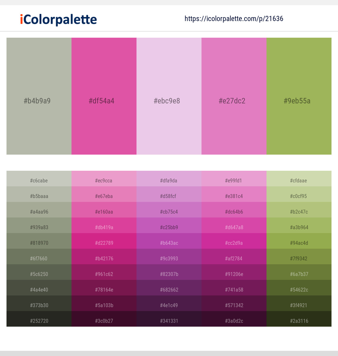 Eagle – Cranberry – Melanie – Shocking – Olive Green Color scheme