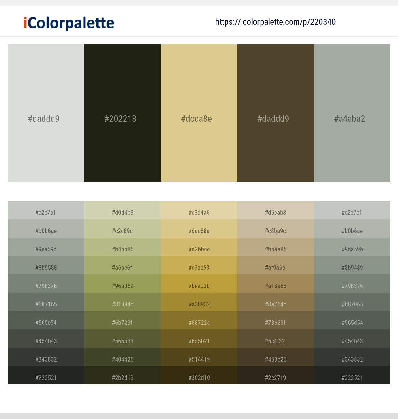 Gray Nurse – Rangoon Green – Brandy – Judge Gray – Bud Color scheme
