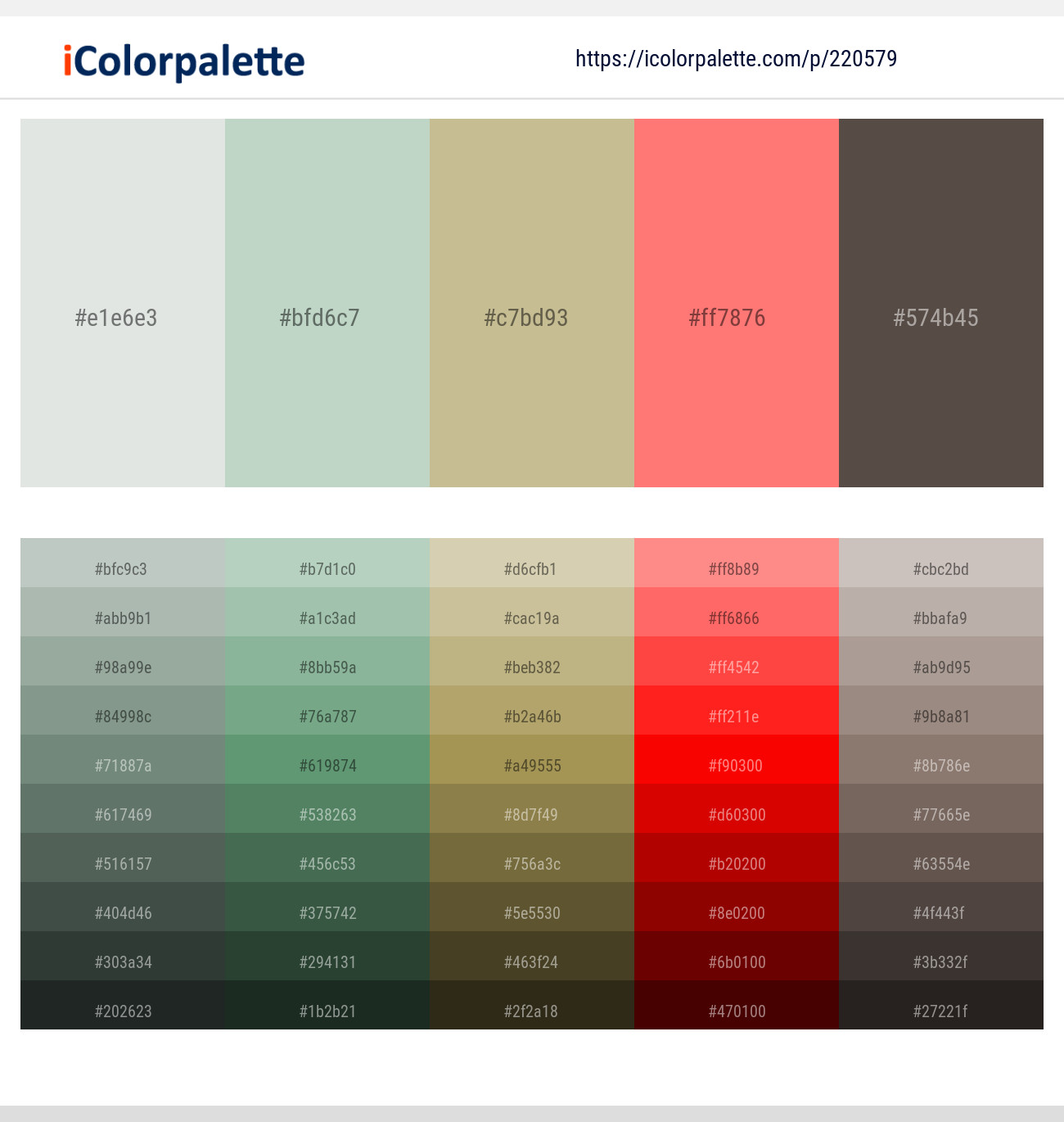 Gray Nurse – Sea Mist – Indian Khaki – Salmon – Kabul Color scheme