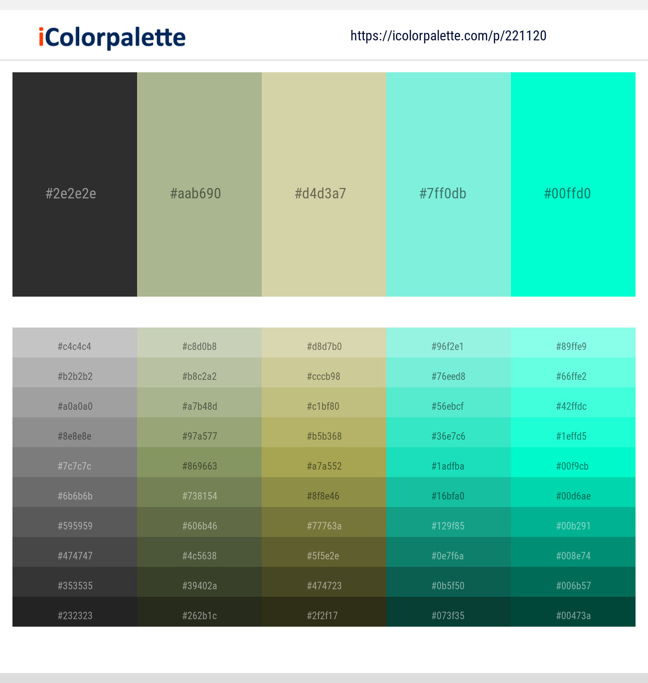 Mine Shaft – Swamp Green – Akaroa – Spray – Bright Turquoise Color scheme