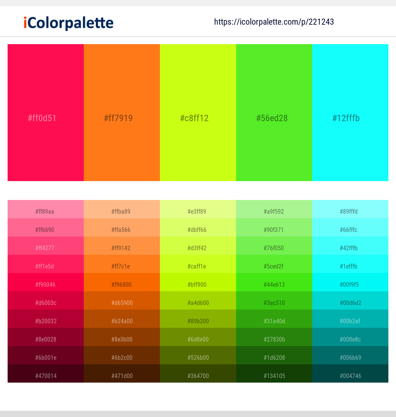 221243366 Bright Color Palettes