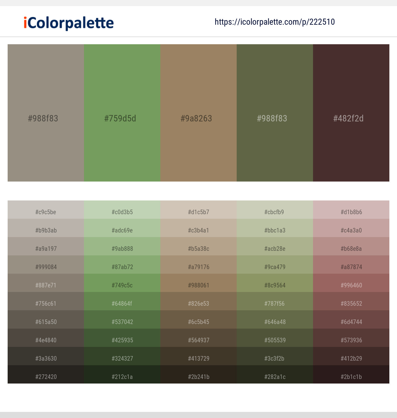 Pale Oyster – Asparagus – Domino – Finch – Woody Brown Color scheme