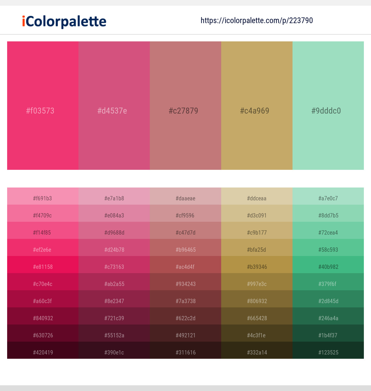 Violet Red – Cranberry – Old Rose – Laser – Chinook Color scheme