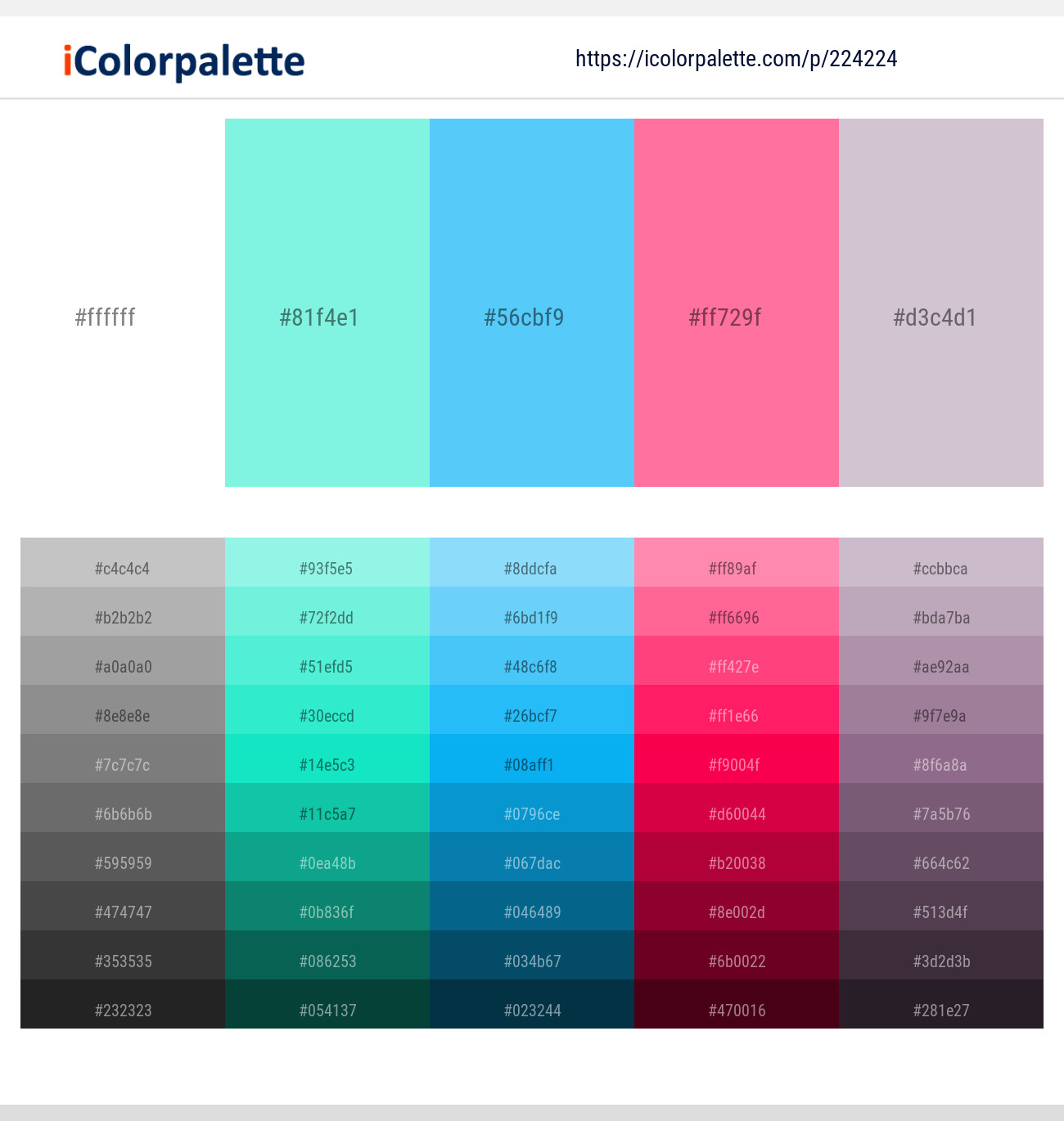 White – Spray – Malibu – Tickle Me Pink – Maverick Color scheme