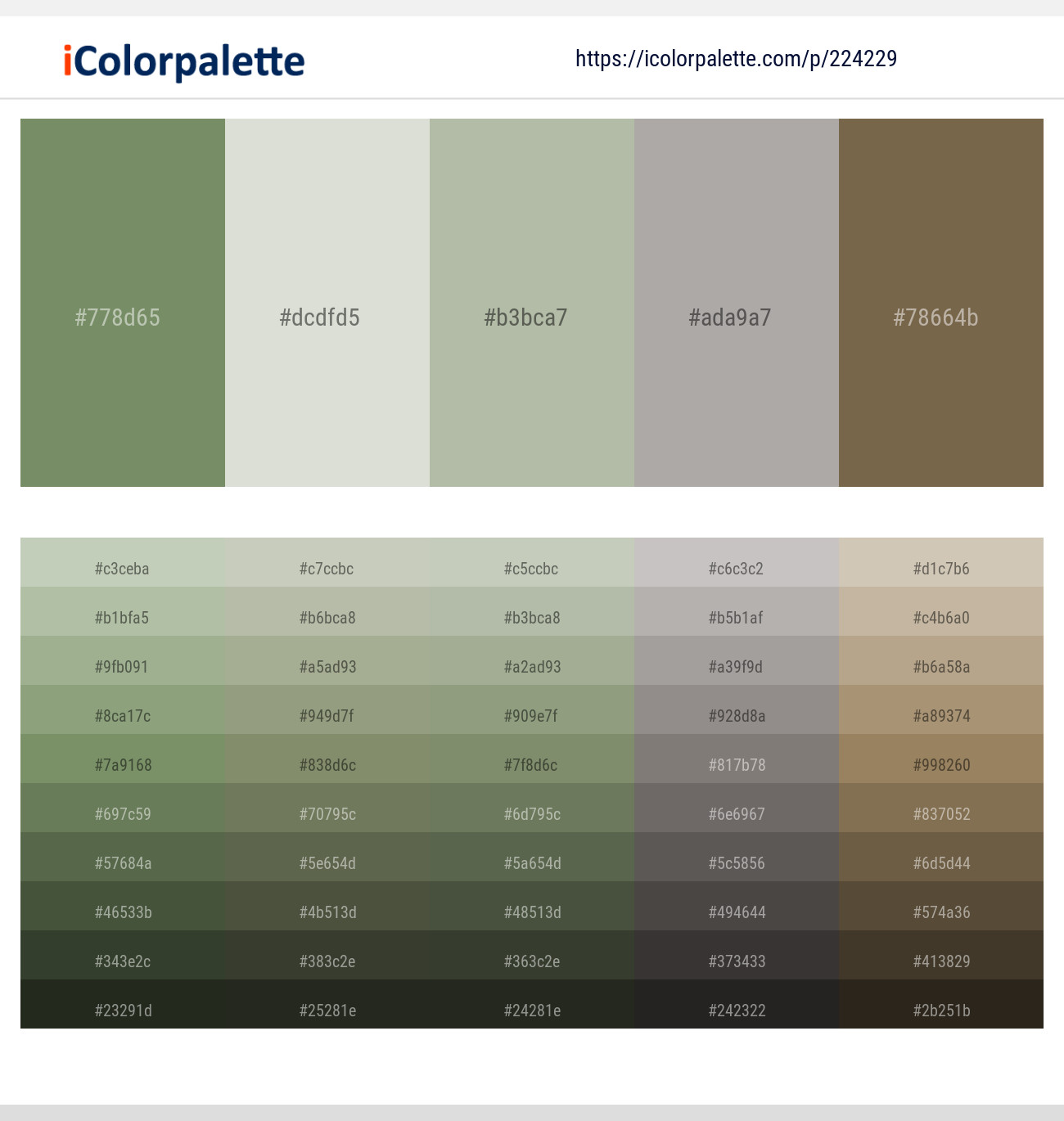 Highland – Moon Mist – Eagle – Cloudy – Tobacco Brown Color scheme
