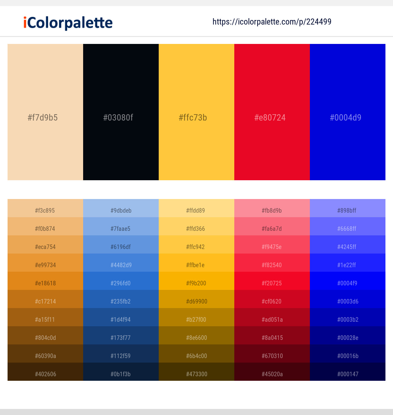 224499366 Bright Color Palettes