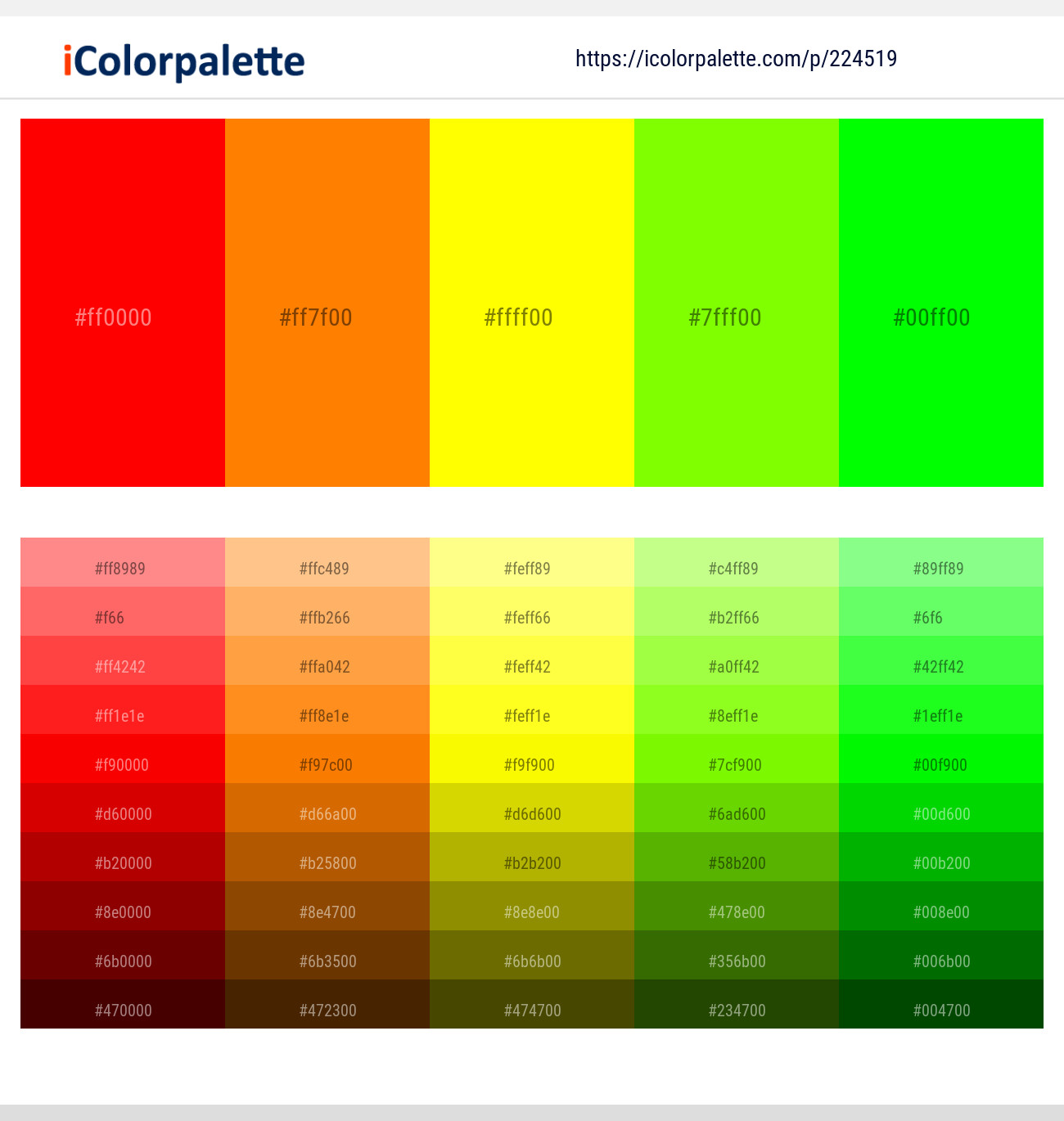 224519366 Bright Color Palettes