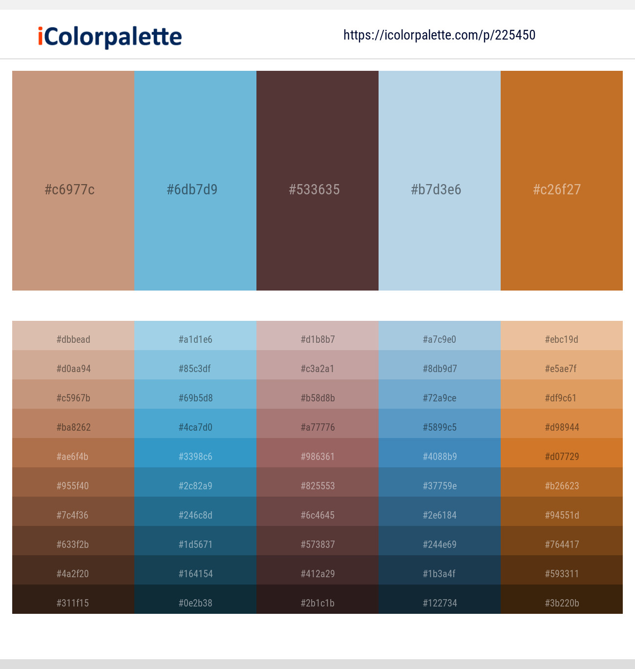 13 Latest Color Schemes with Light Blue And Chocolate Color tone