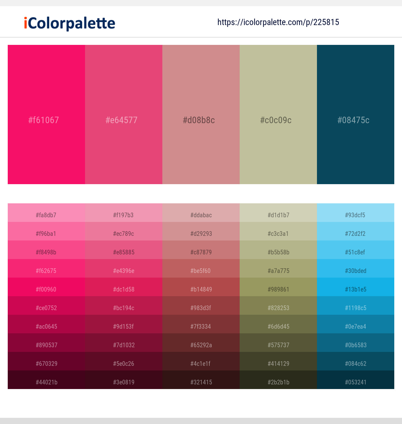 Razzmatazz – Mandy – Puce – Coral Reef – Tarawera Color scheme