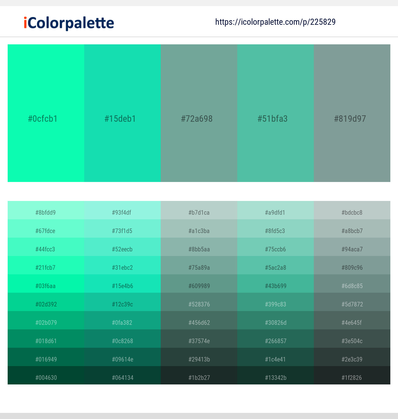 Spring Green – Java – Sea Nymph – Puerto Rico – Granny Smith Color scheme