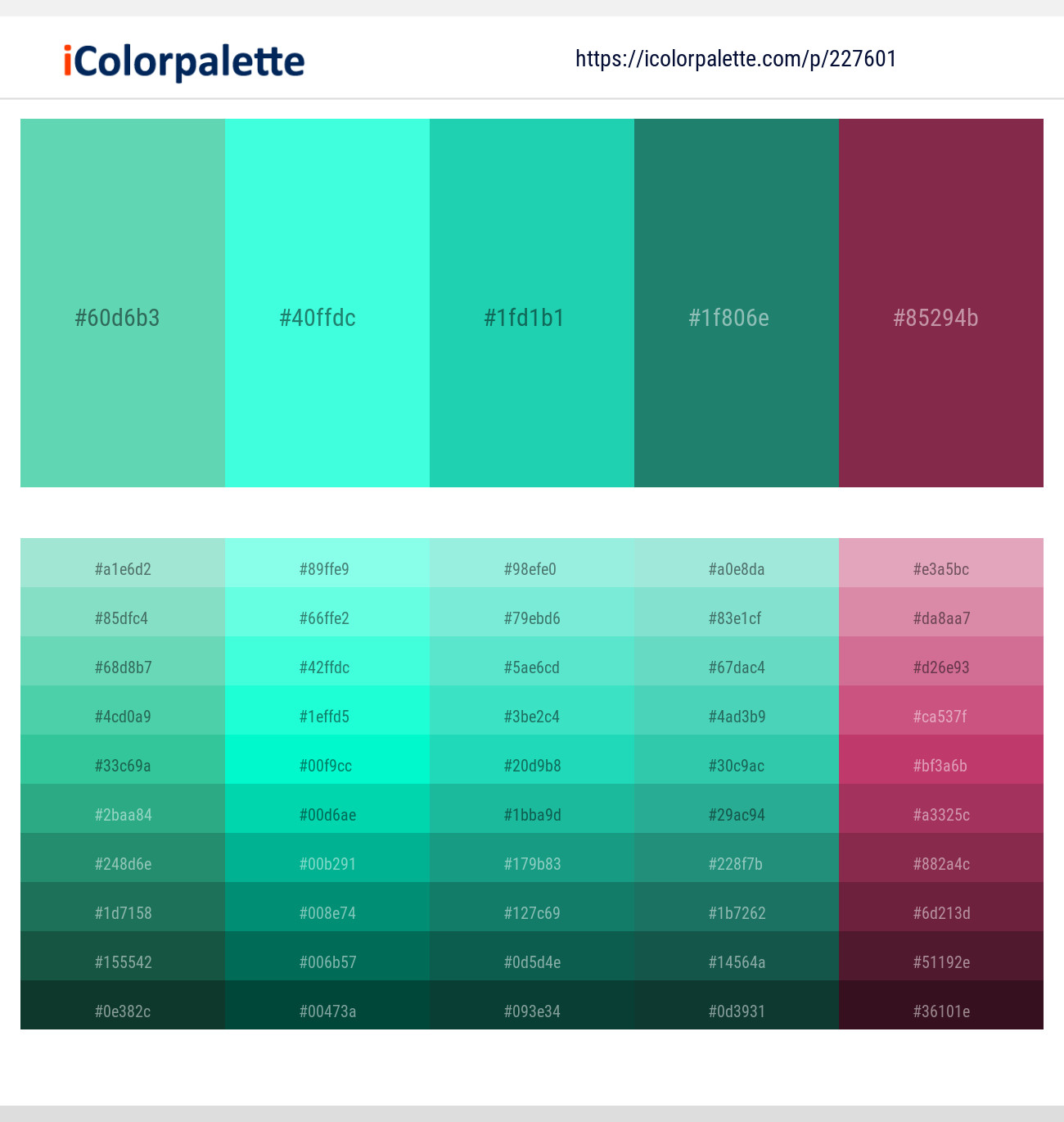 Downy – Aquamarine – Java – Elm – Camelot Color scheme