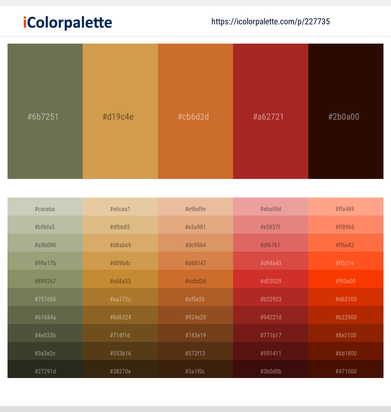 Finch – Tussock – Tuscany – Roof Terracotta – Nero Color scheme