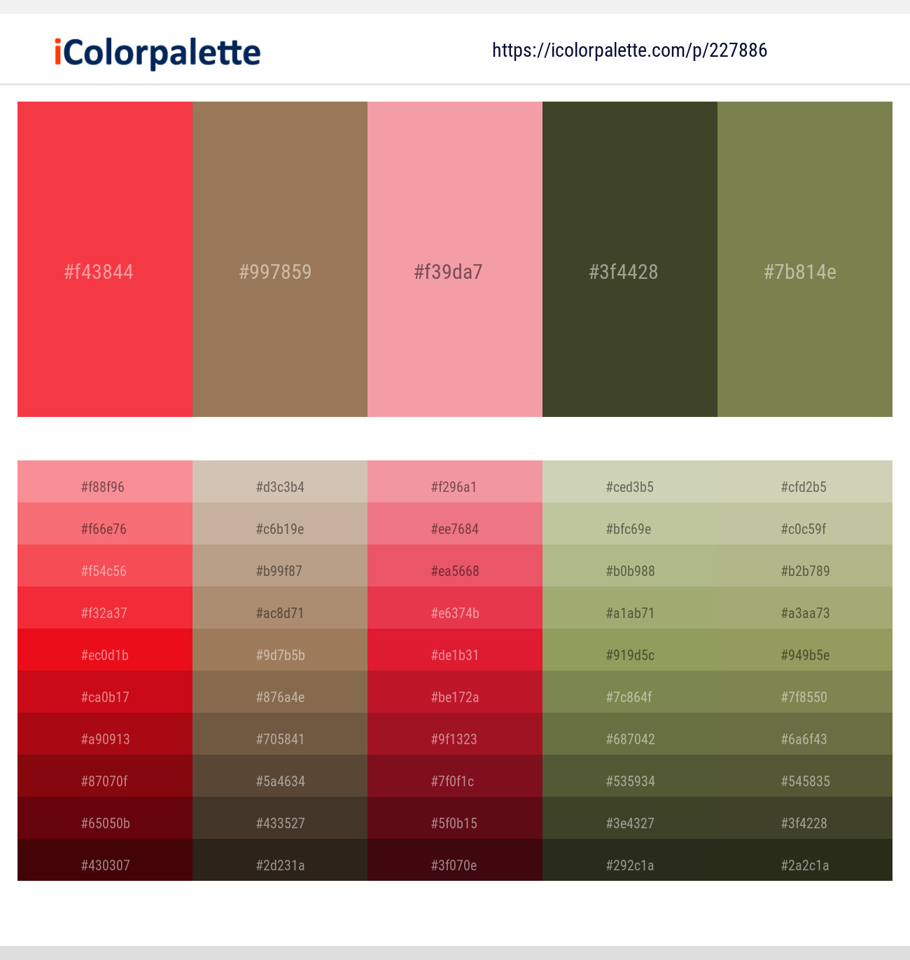 Pomegranate – Leather – Wewak – Rangitoto – Shadow Color scheme