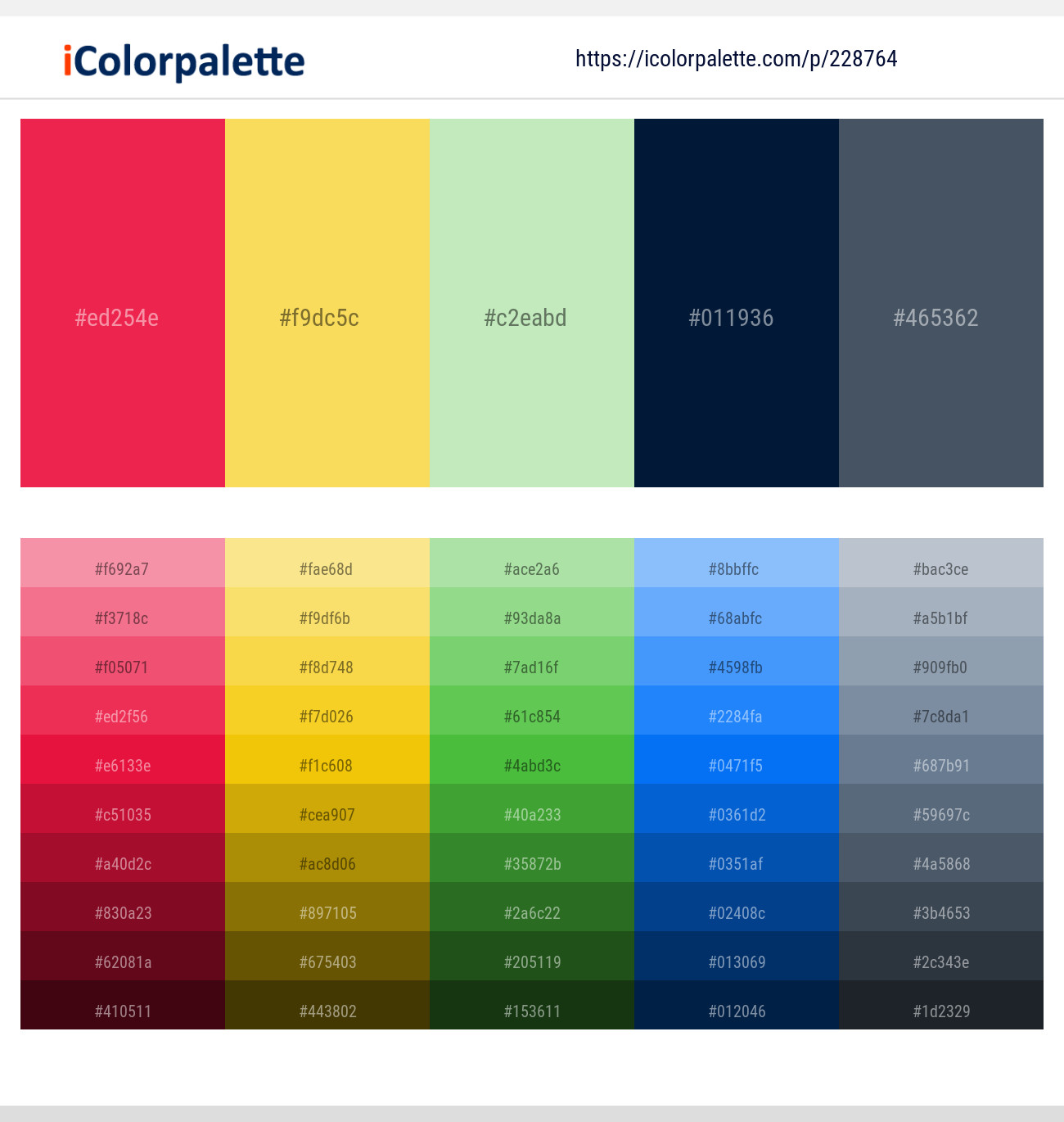 Amaranth – Energy Yellow – Celadon – Midnight – River Bed Color scheme