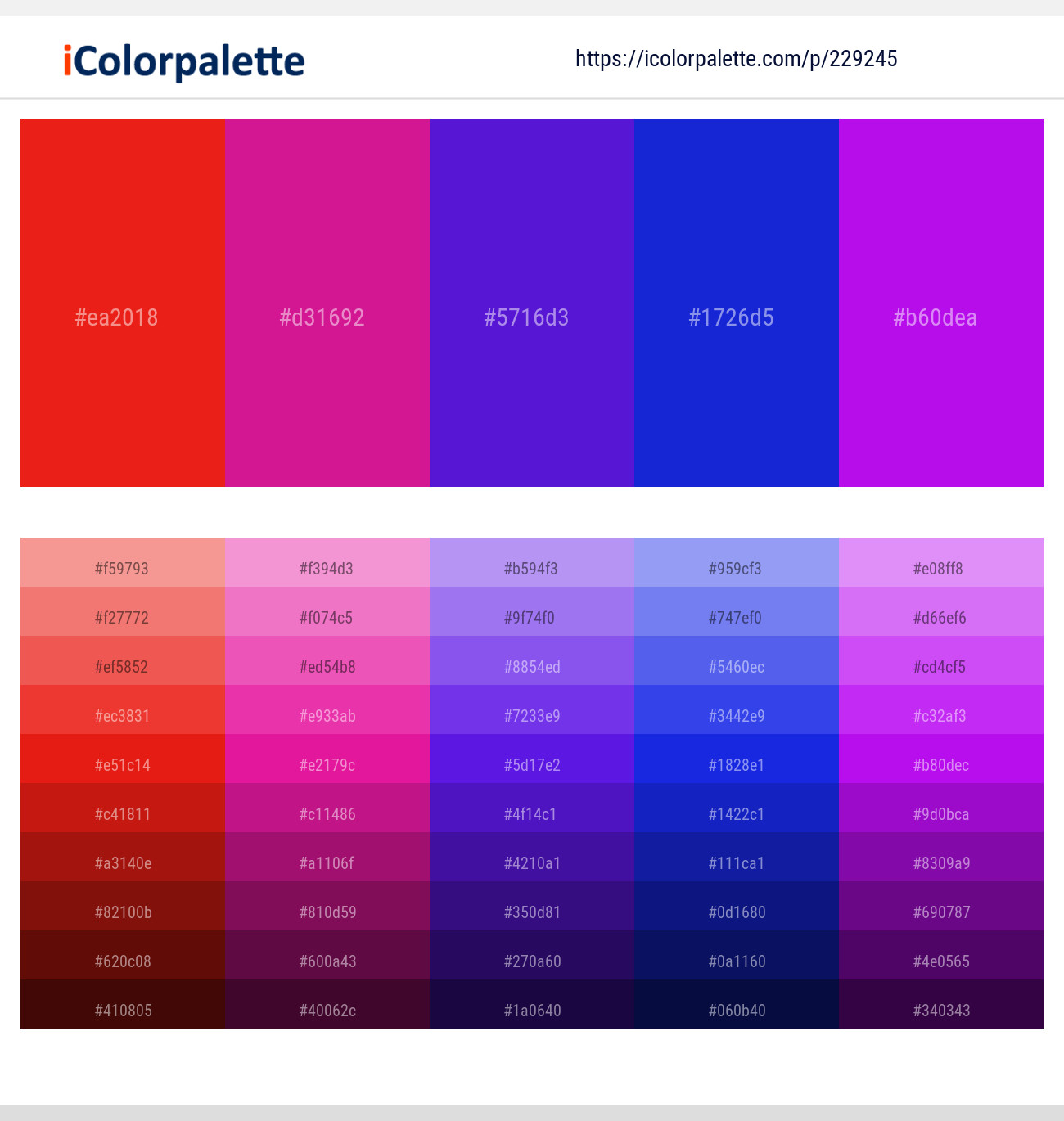 229245366 Bright Color Palettes