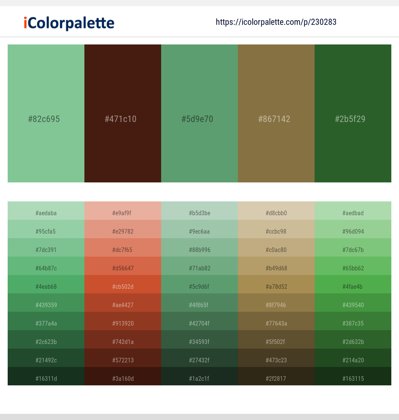 De York – Paco – Aqua Forest – Yellow Metal – Everglade Color scheme