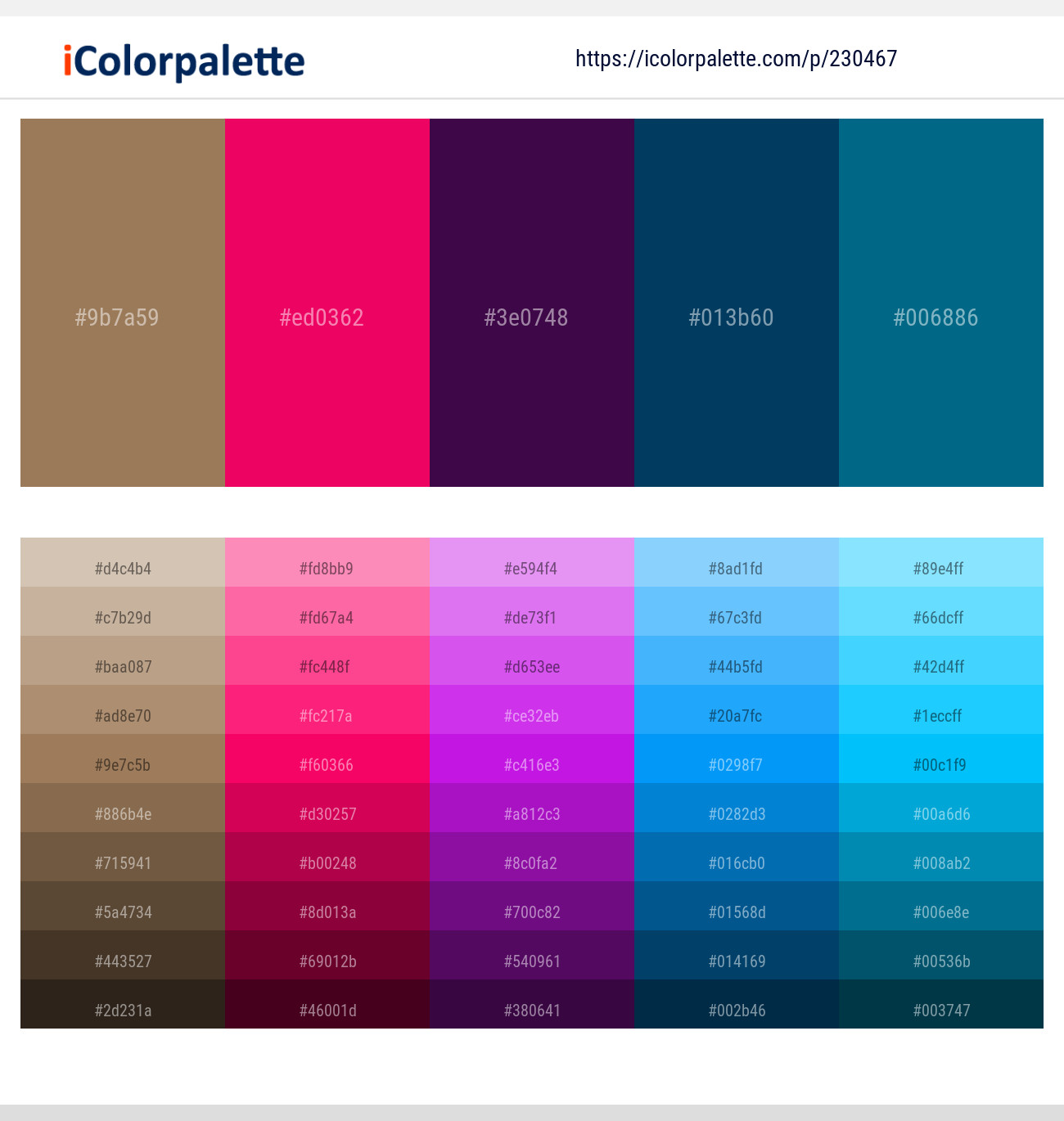 Leather – Razzmatazz – Clairvoyant – Astronaut Blue – Orient Color scheme