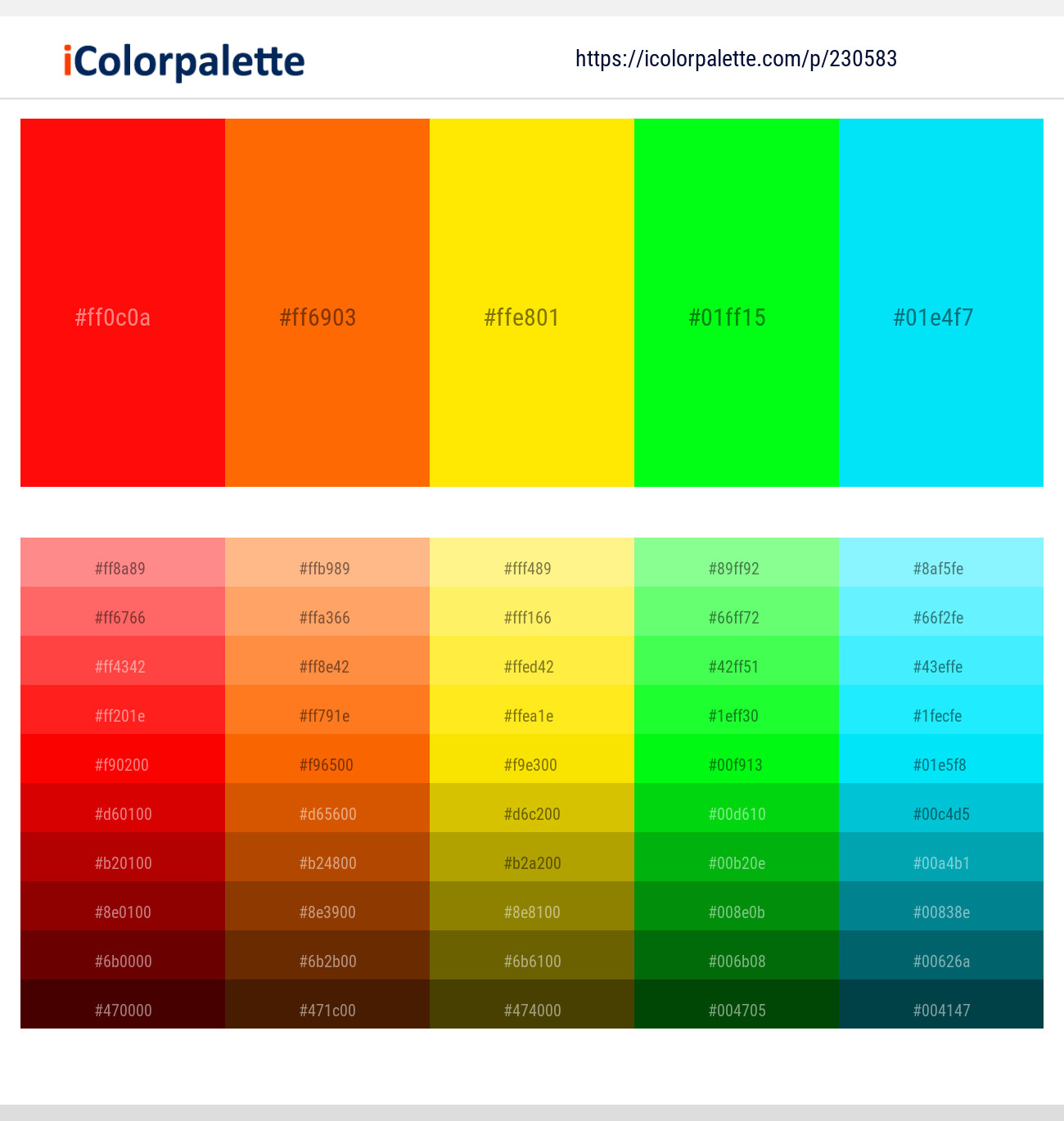230583366 Bright Color Palettes