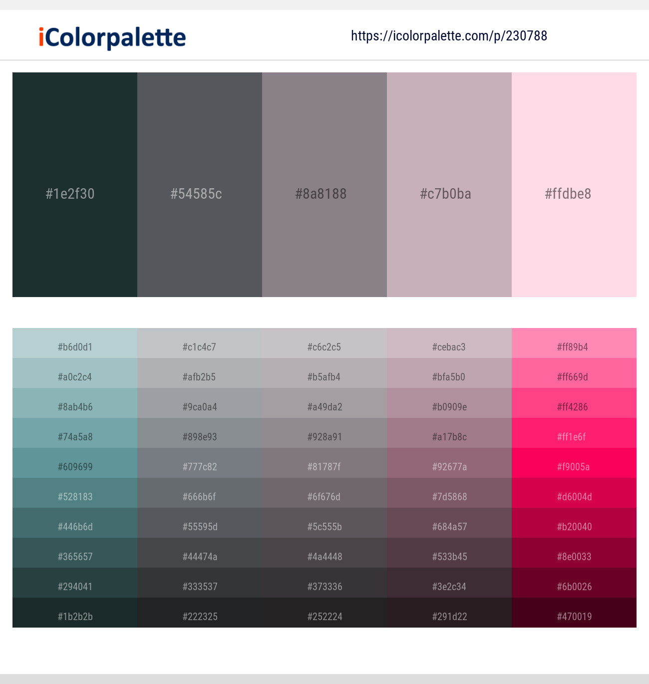 Outer Space – Abbey – Monsoon – Lily – Pale Rose Color scheme