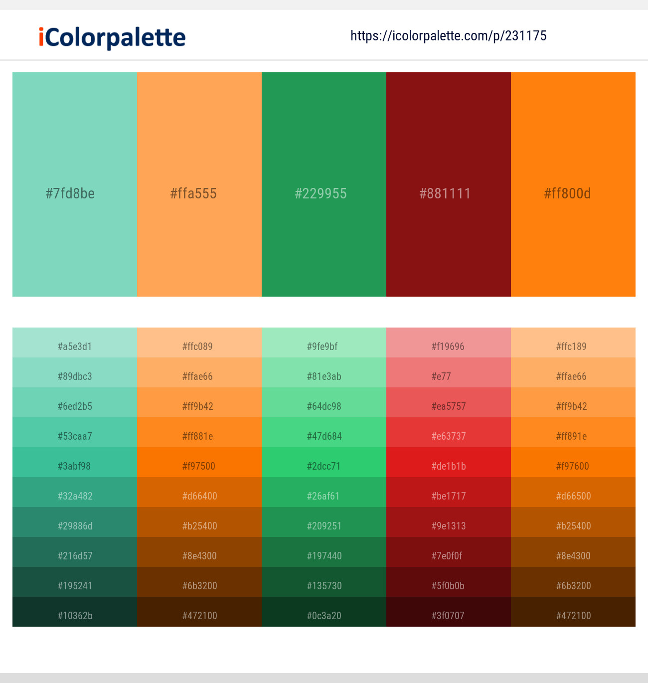 Bermuda – Texas Rose – Eucalyptus – Tamarillo – Flamenco Color scheme