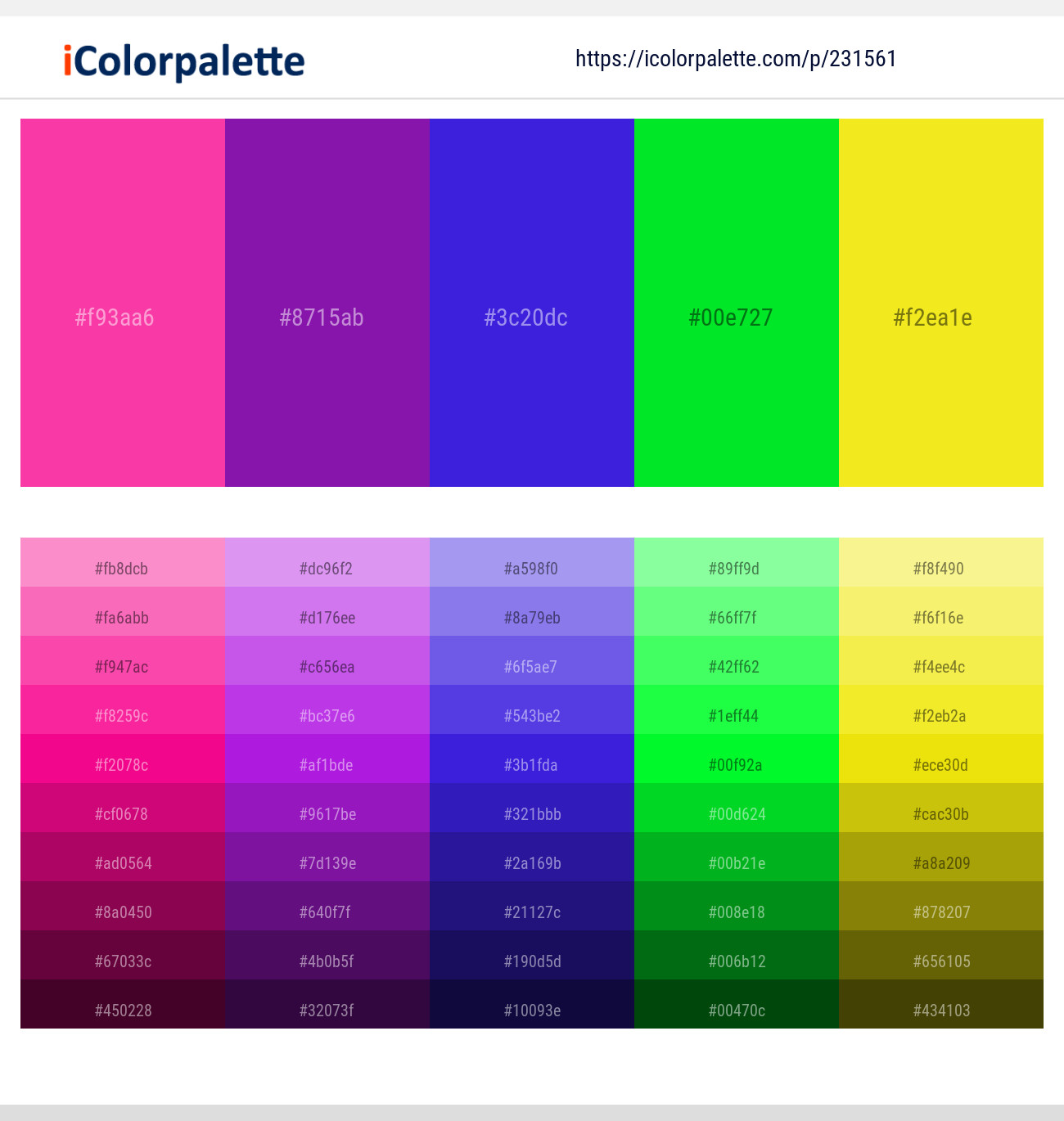 231561366 Bright Color Palettes