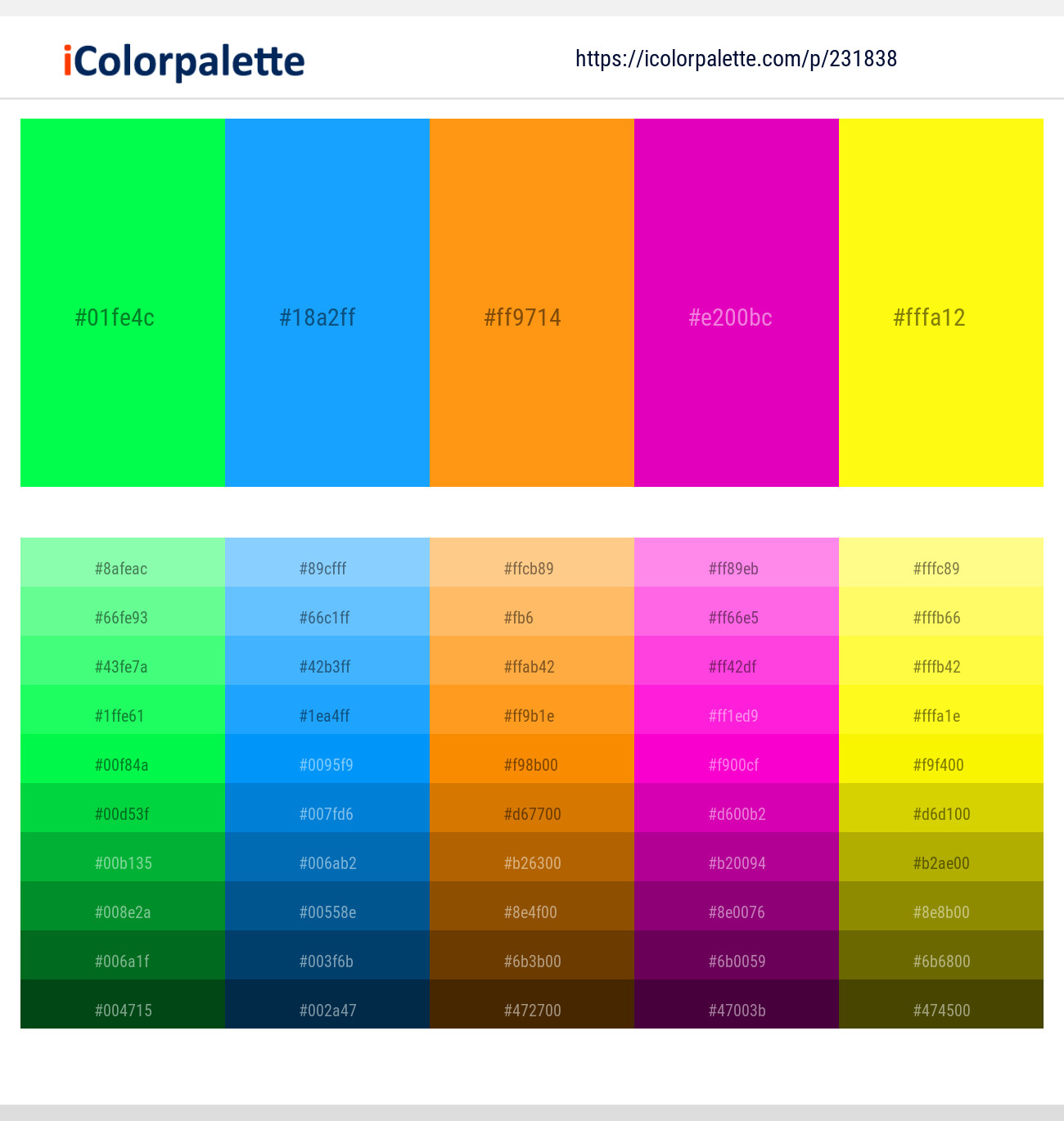 231838366 Bright Color Palettes