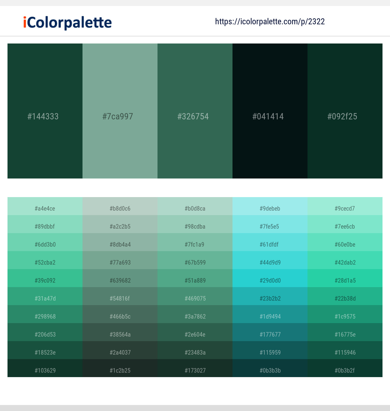 2 Latest Color Schemes with Bay Leaf And Bottle Green Color tone  combinations, 2024