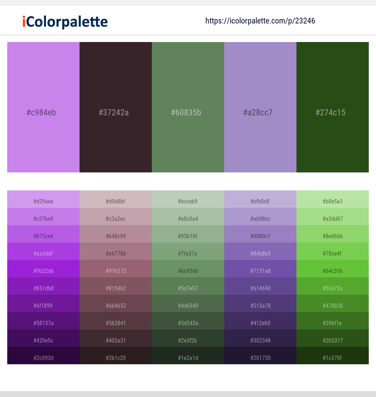 Biloba Flower – Cocoa Brown – Glade Green – East Side – Parsley Color scheme