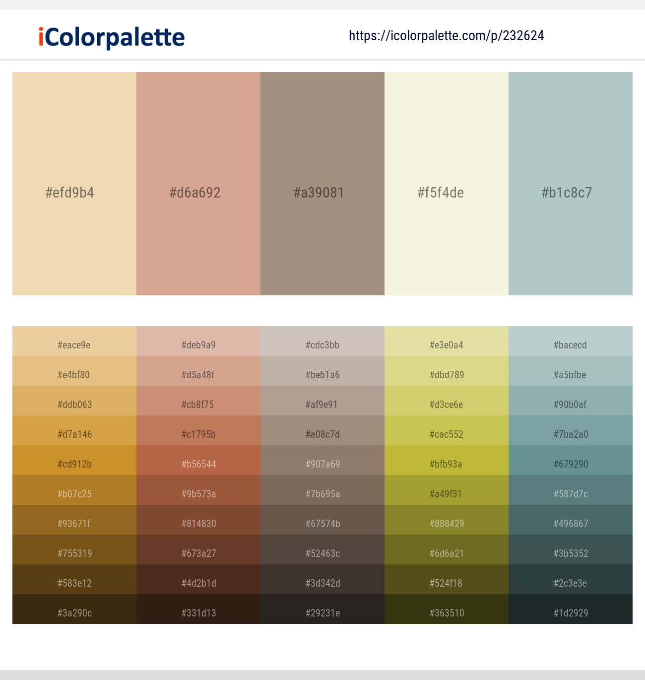 23262420 Beige Color Combinations