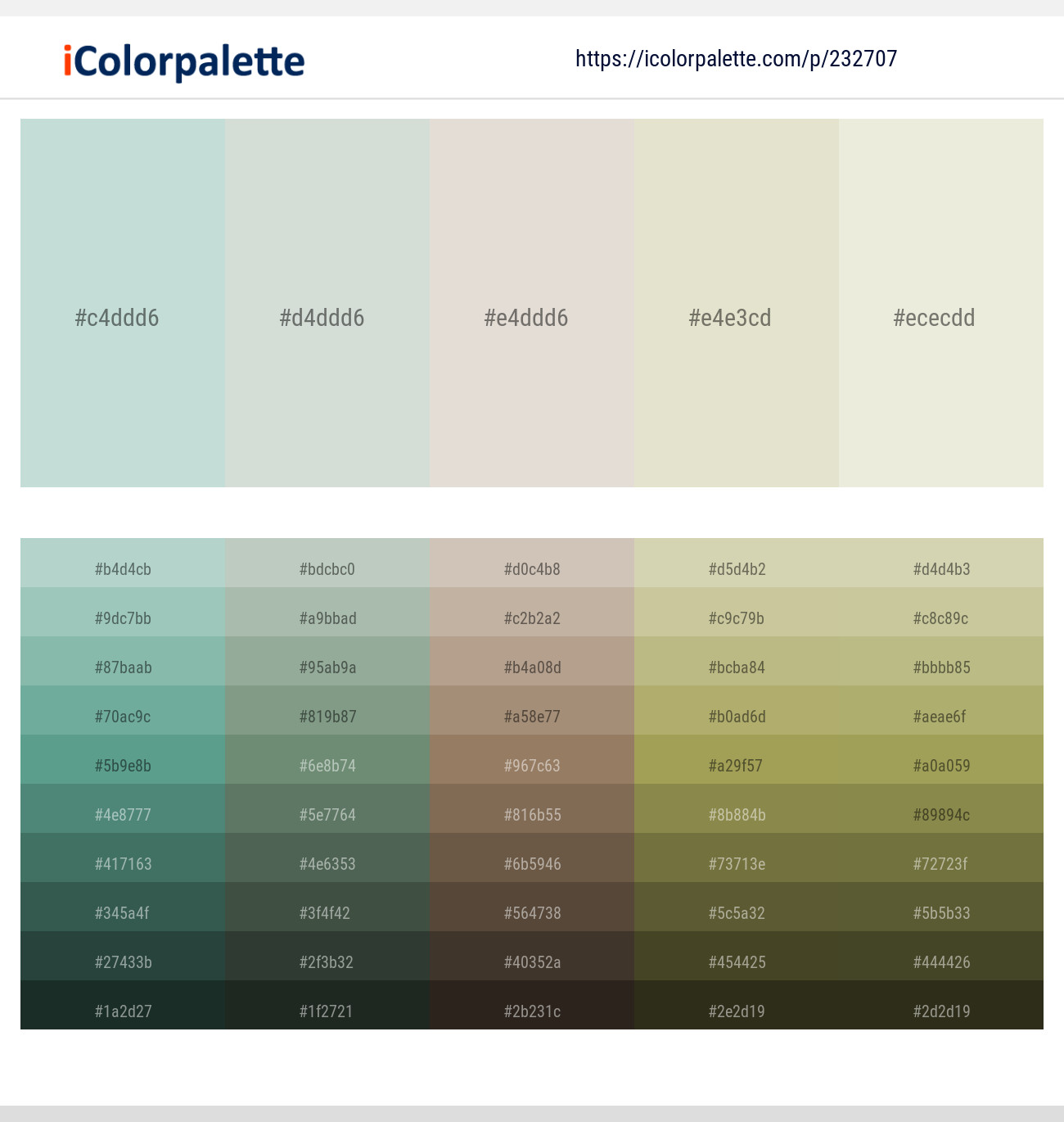 Edgewater – Tasman – Pearl Bush – Satin Linen – Satin Linen Color scheme