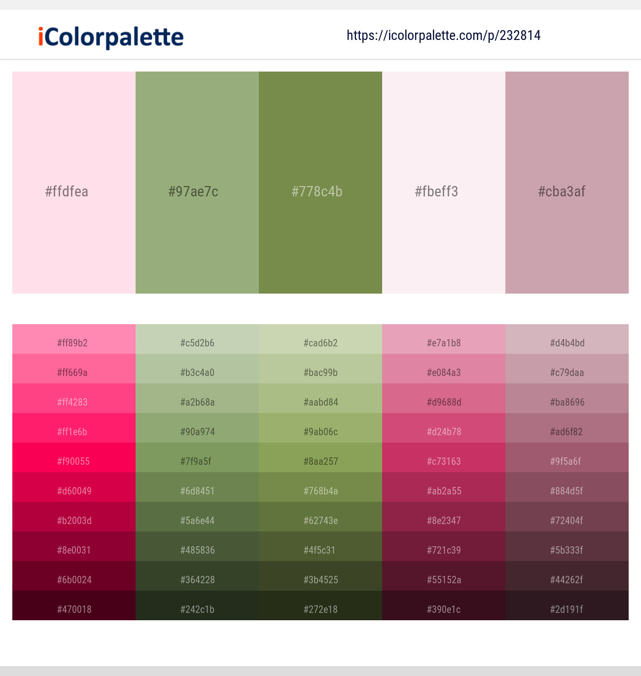Pale Rose – Green Smoke – Asparagus – Amour – Careys Pink Color scheme