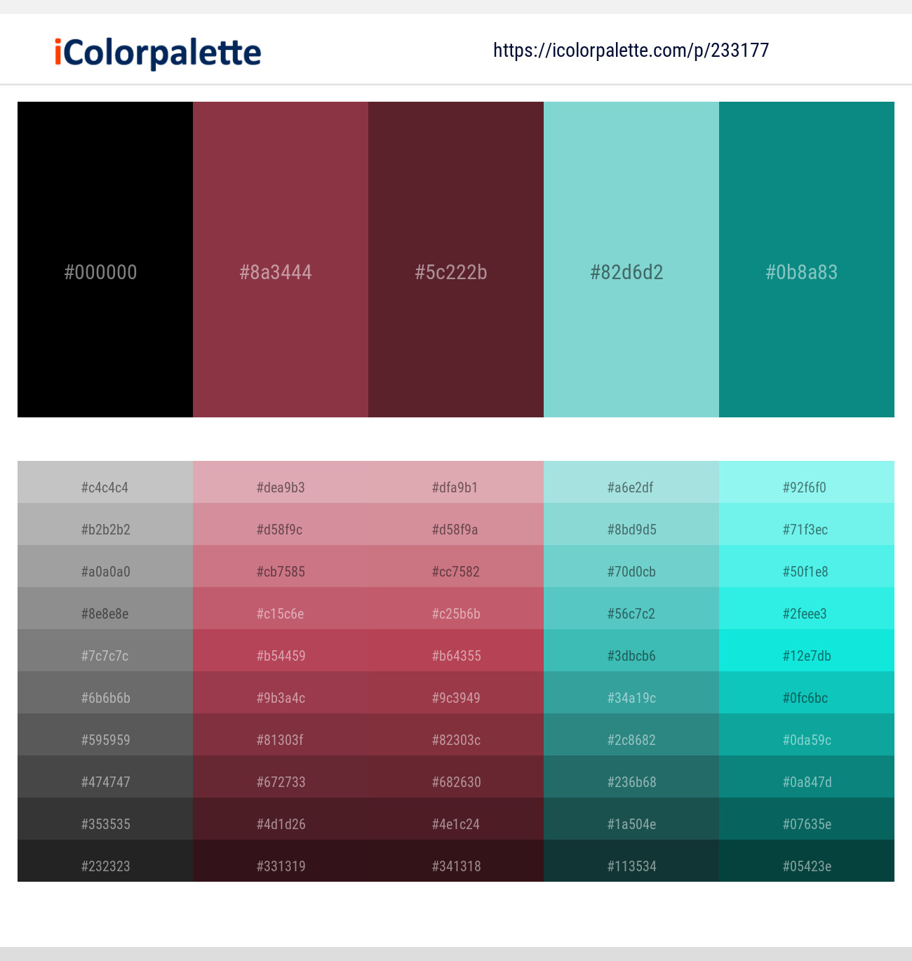 Black – Solid Pink – Wine Berry – Bermuda – Blue Chill Color scheme