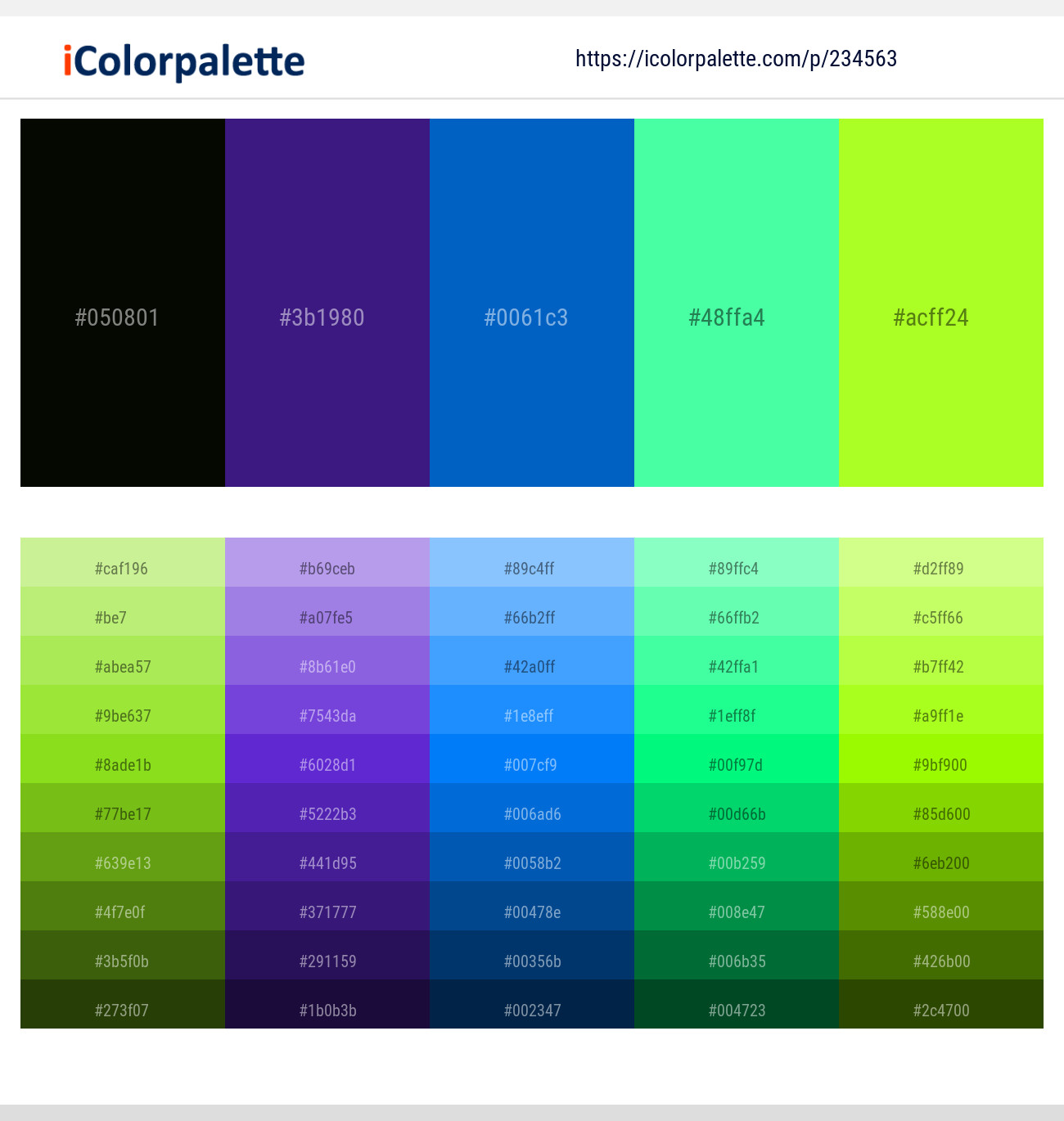 234563366 Bright Color Palettes