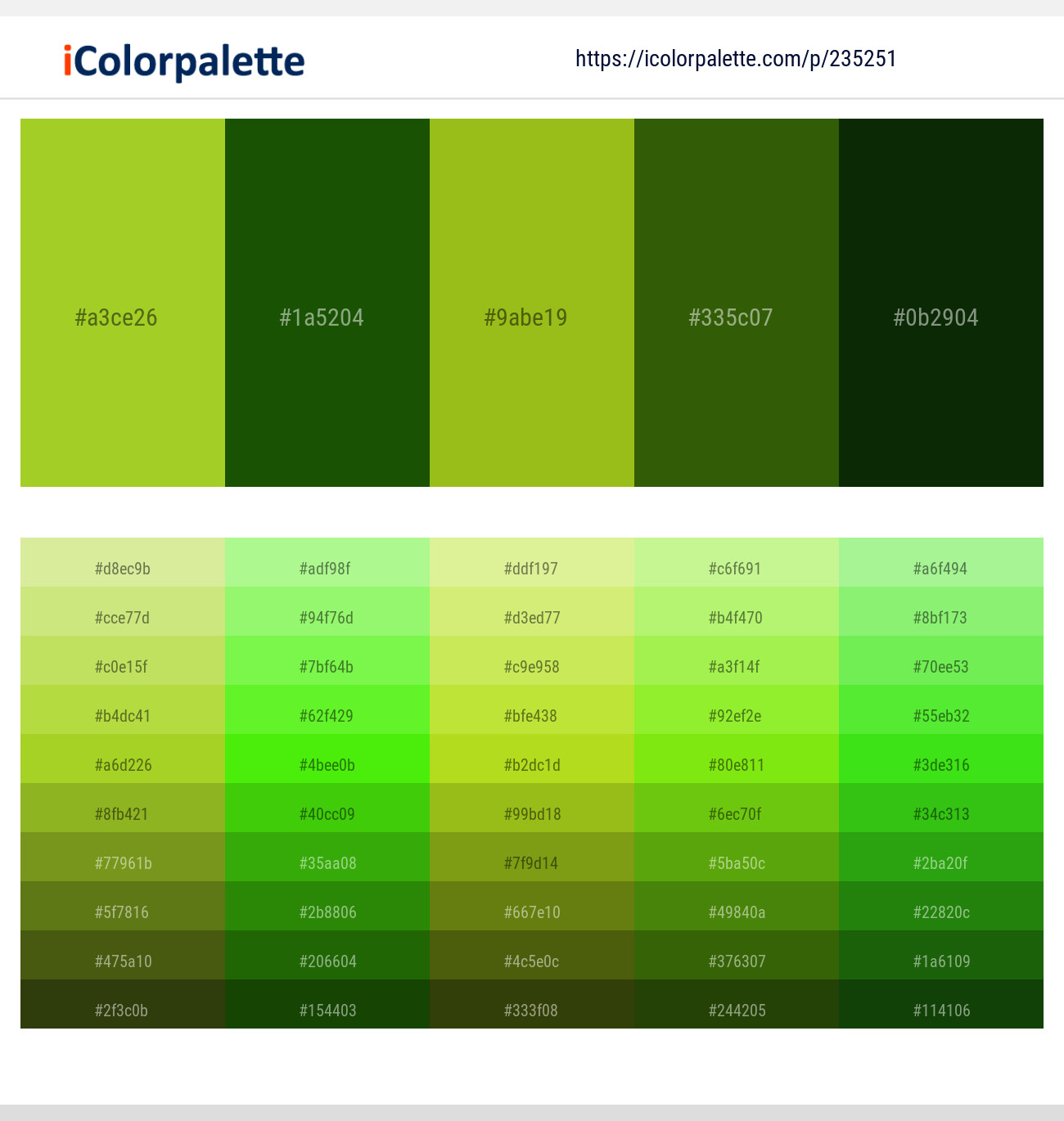 Atlantis – San Felix – Citron – Green Leaf – Pine Tree Color scheme