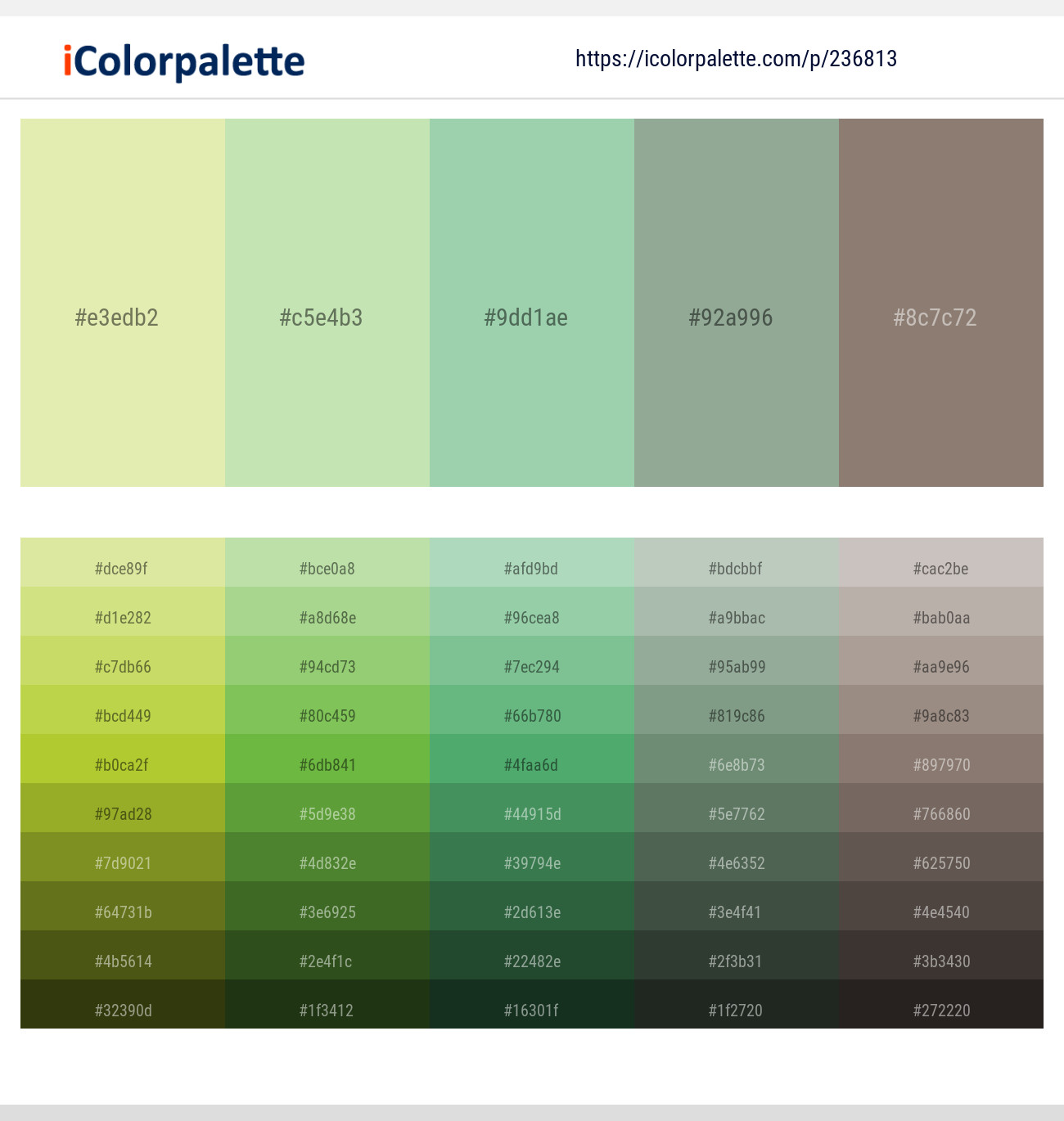 Caper – Celadon – Vista Blue – Envy – Squirrel Color scheme