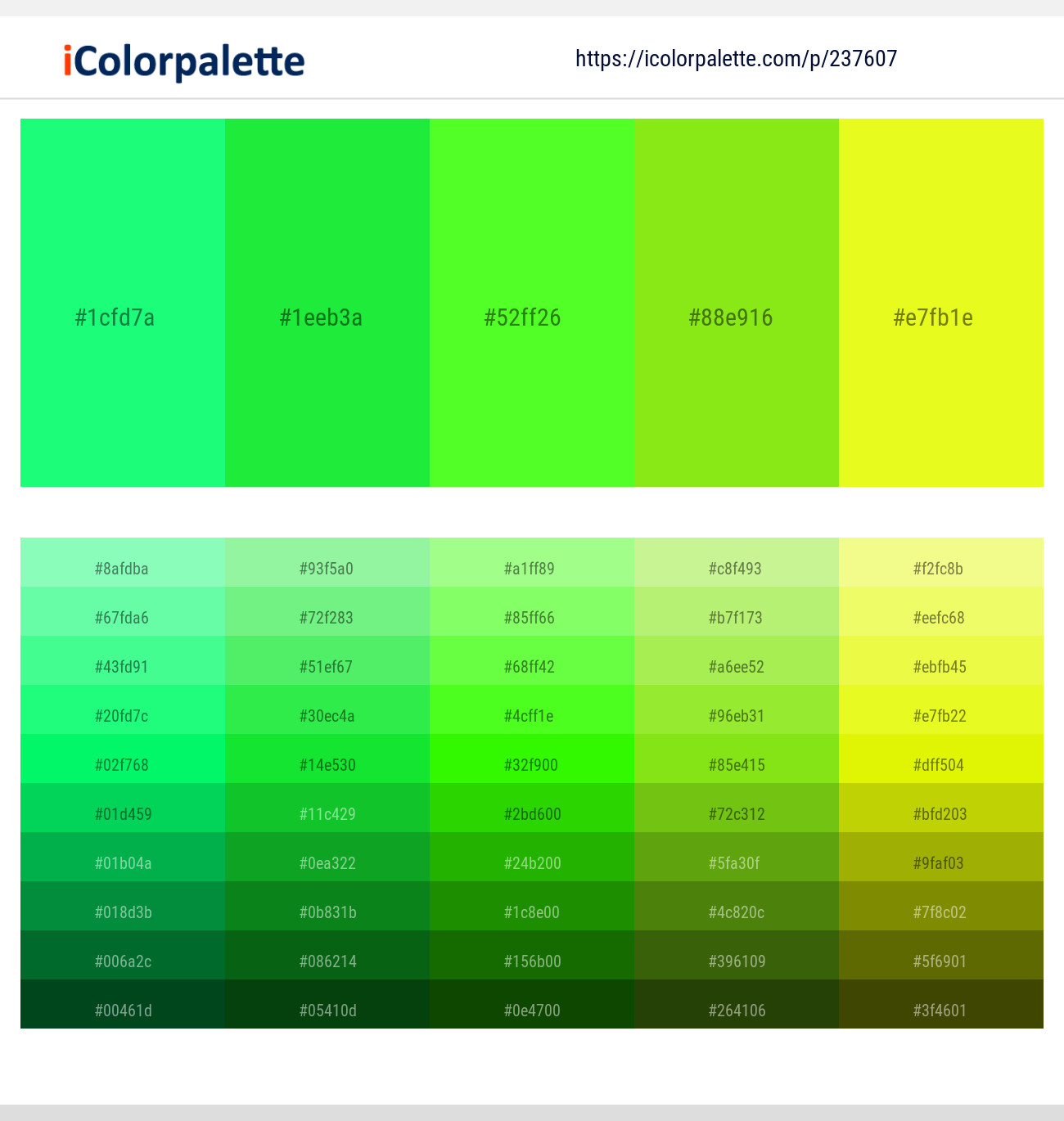 237607366 Bright Color Palettes
