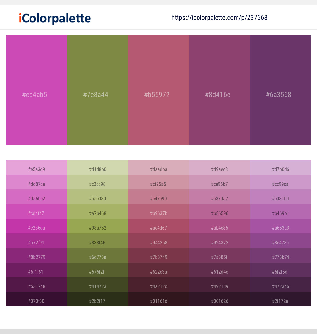 Fuchsia Pink – Sycamore – Cadillac – Cannon Pink – Cosmic Color scheme