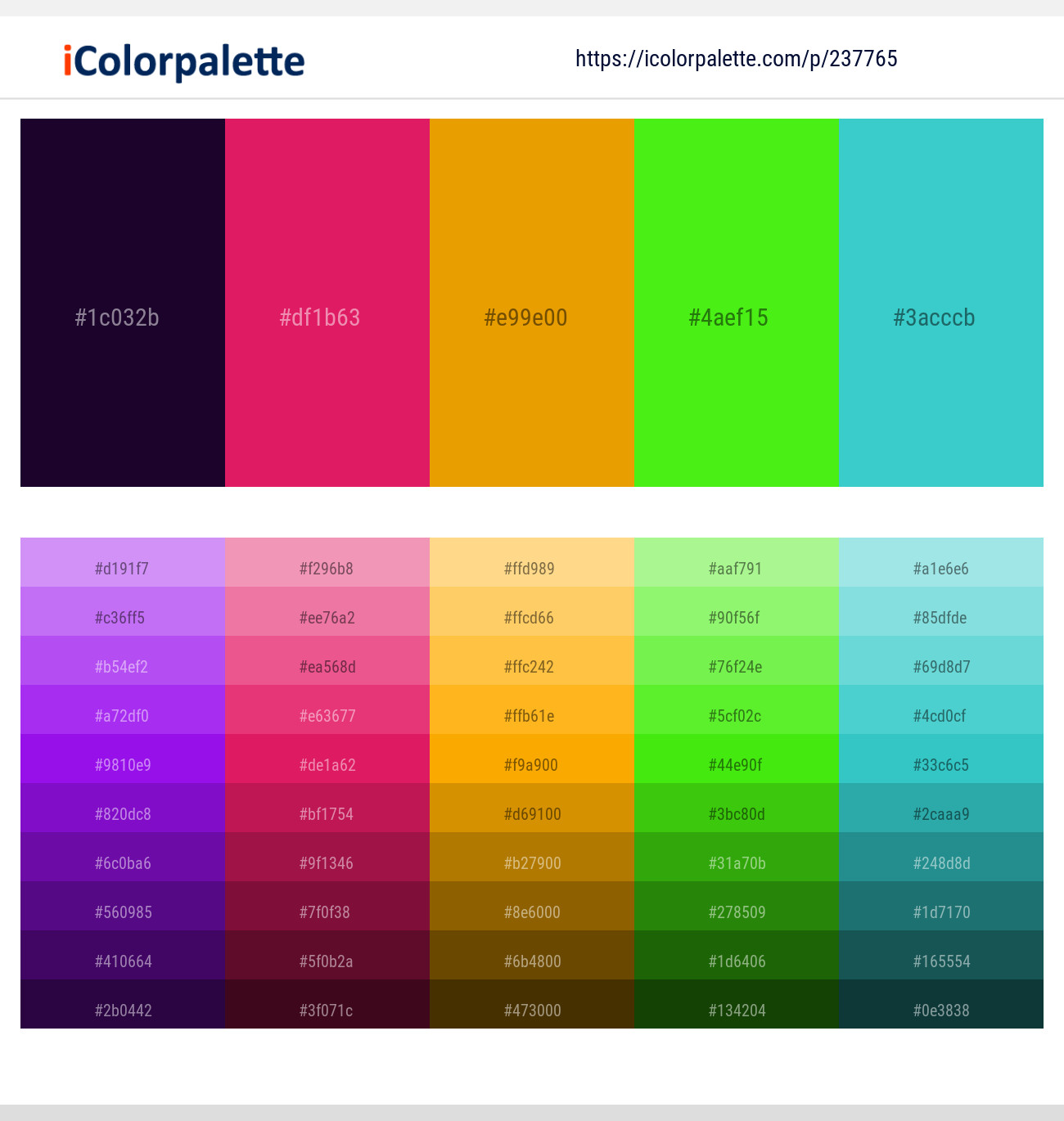 237765366 Bright Color Palettes