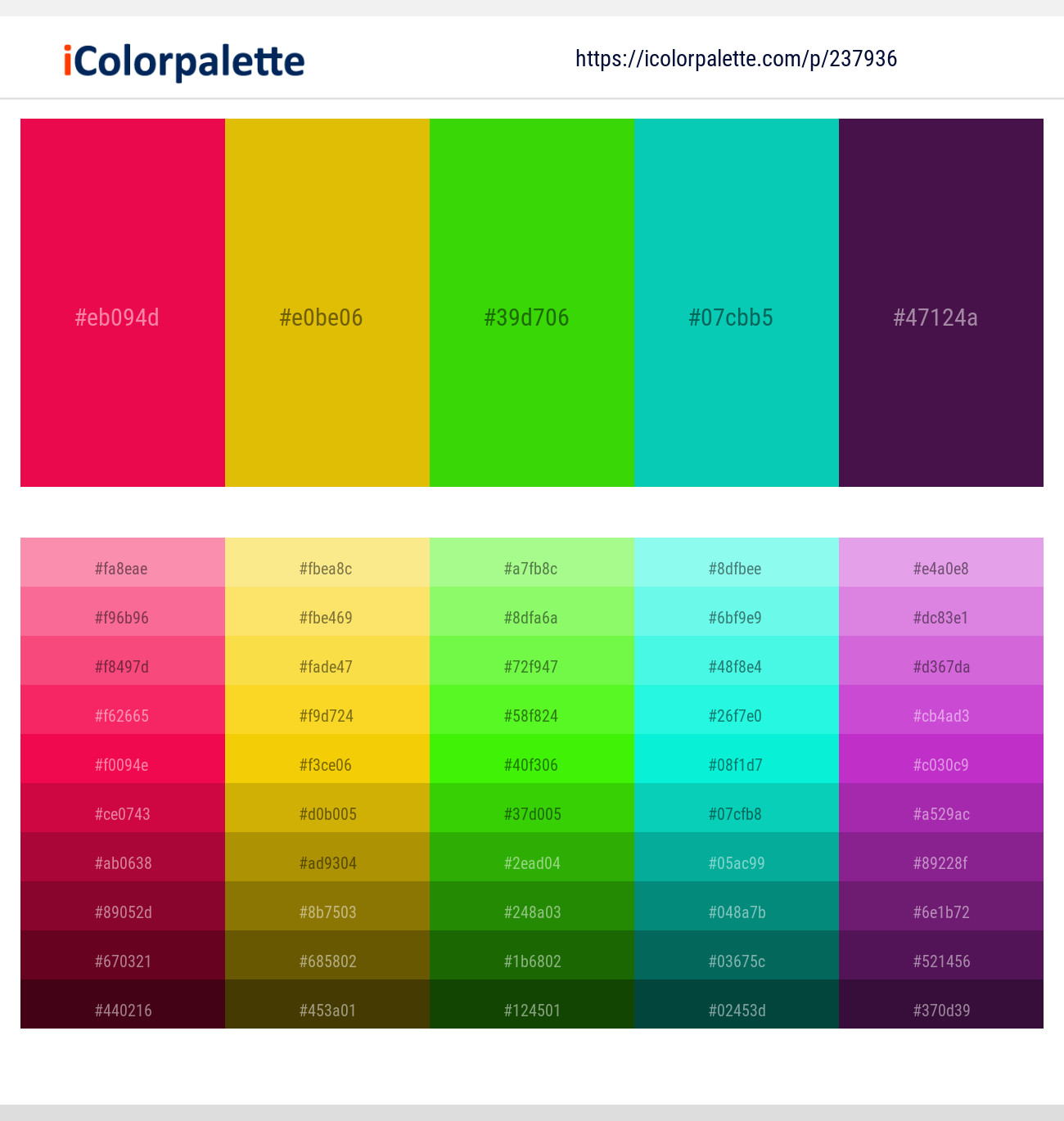 237936366 Bright Color Palettes