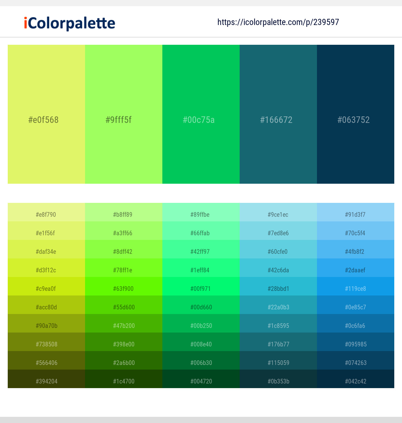 239597366 Bright Color Palettes