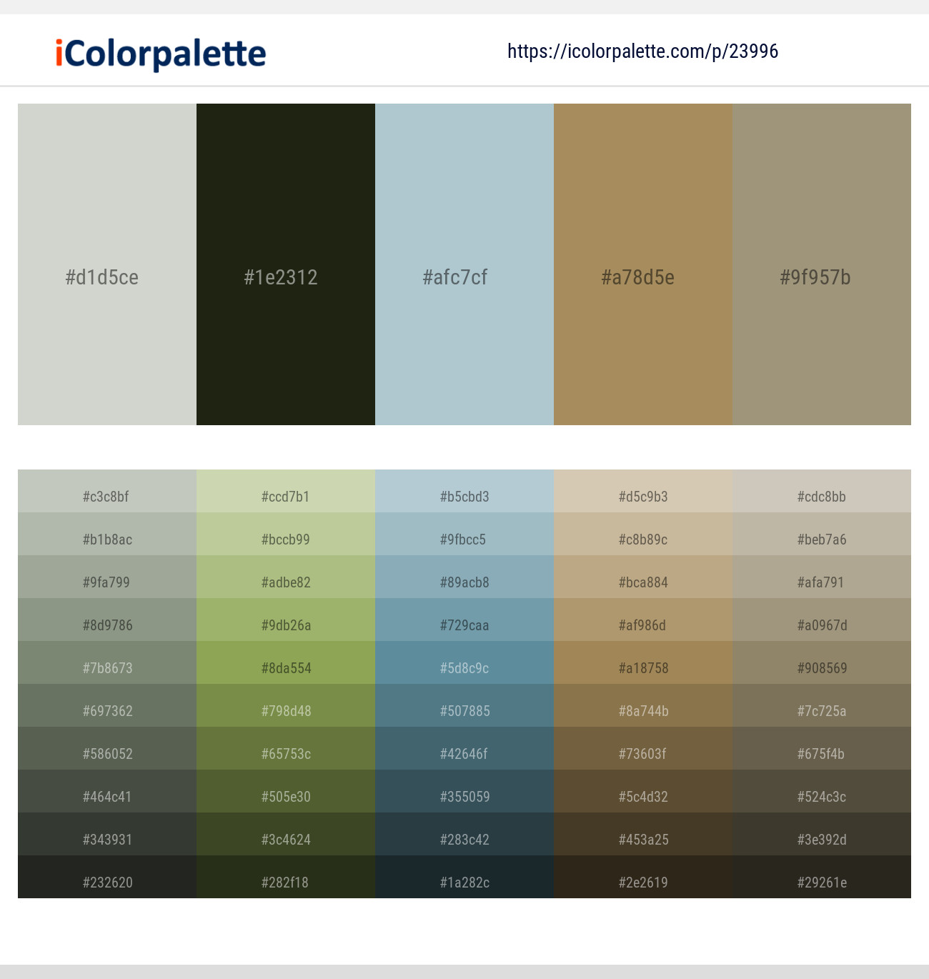 Celeste – Black Olive – Jungle Mist – Barley Corn – Gurkha Color scheme