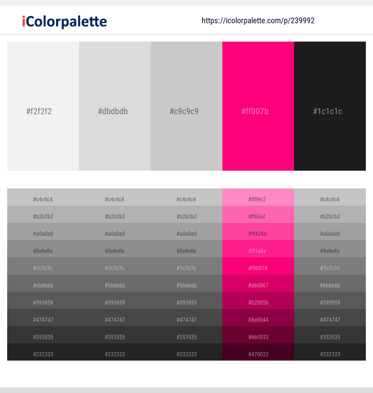 Concrete – Alto – Silver – Rose – Cod Gray Color scheme