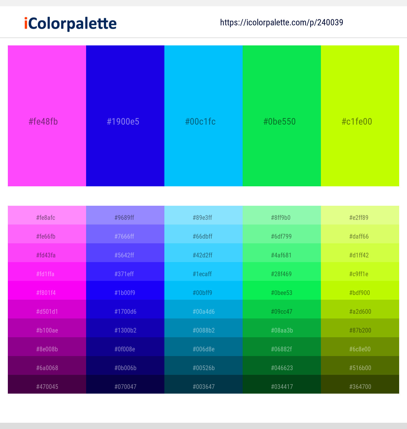 240039366 Bright Color Palettes