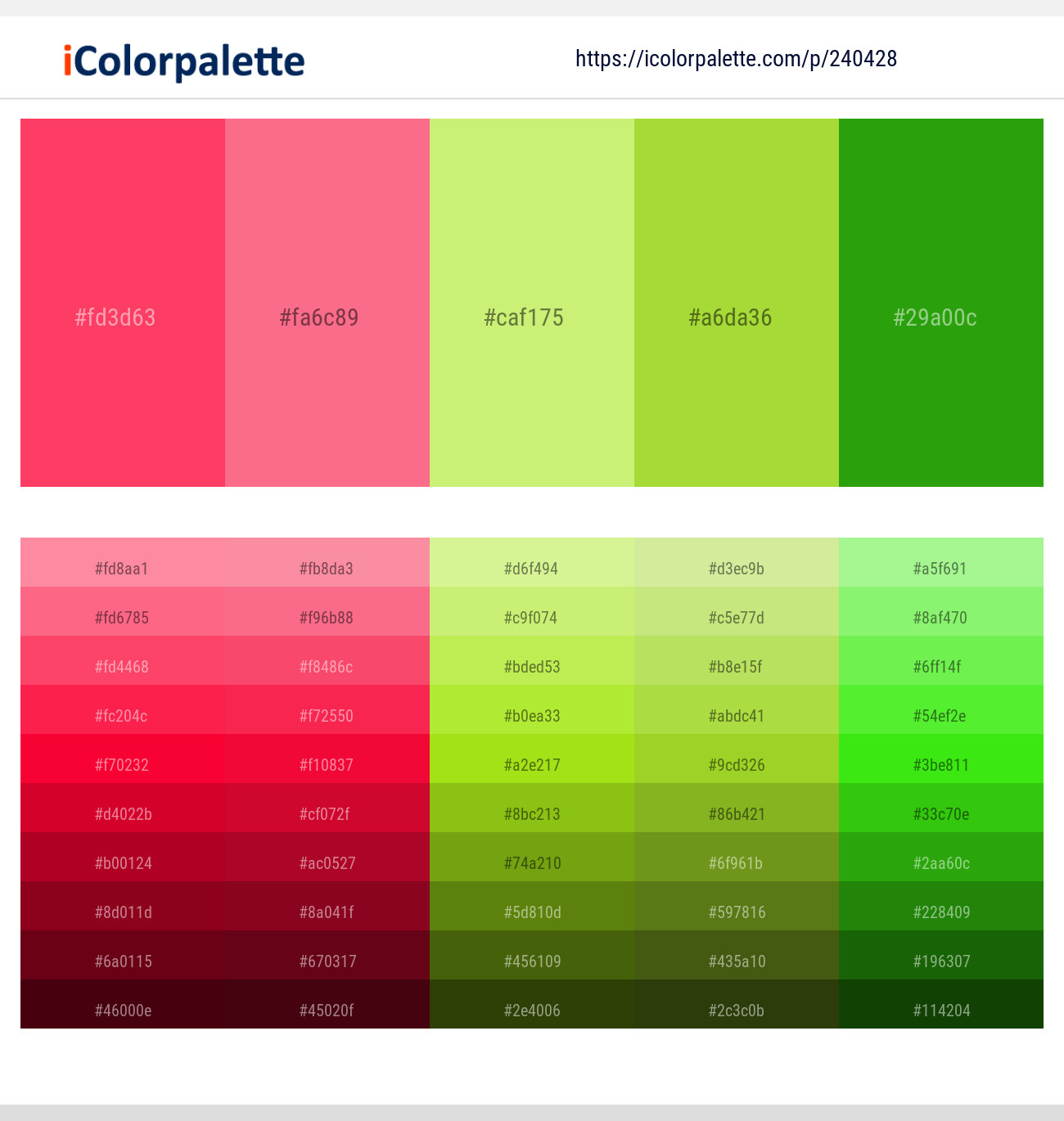 240428366 Bright Color Palettes
