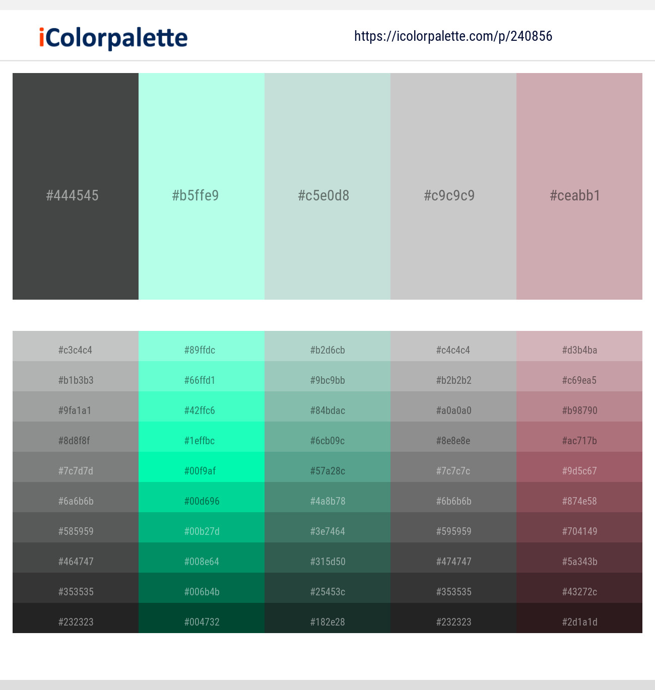 5 Latest Color Schemes with Light Cyan And Silver Color tone ...